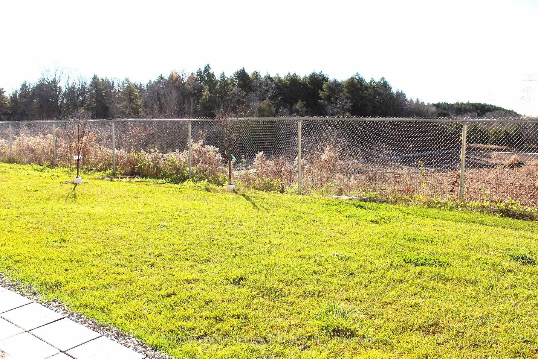 Photo 6 of Unit Lower, 2524 Orchestrate Drive, Oshawa, Windfields — HOMEH