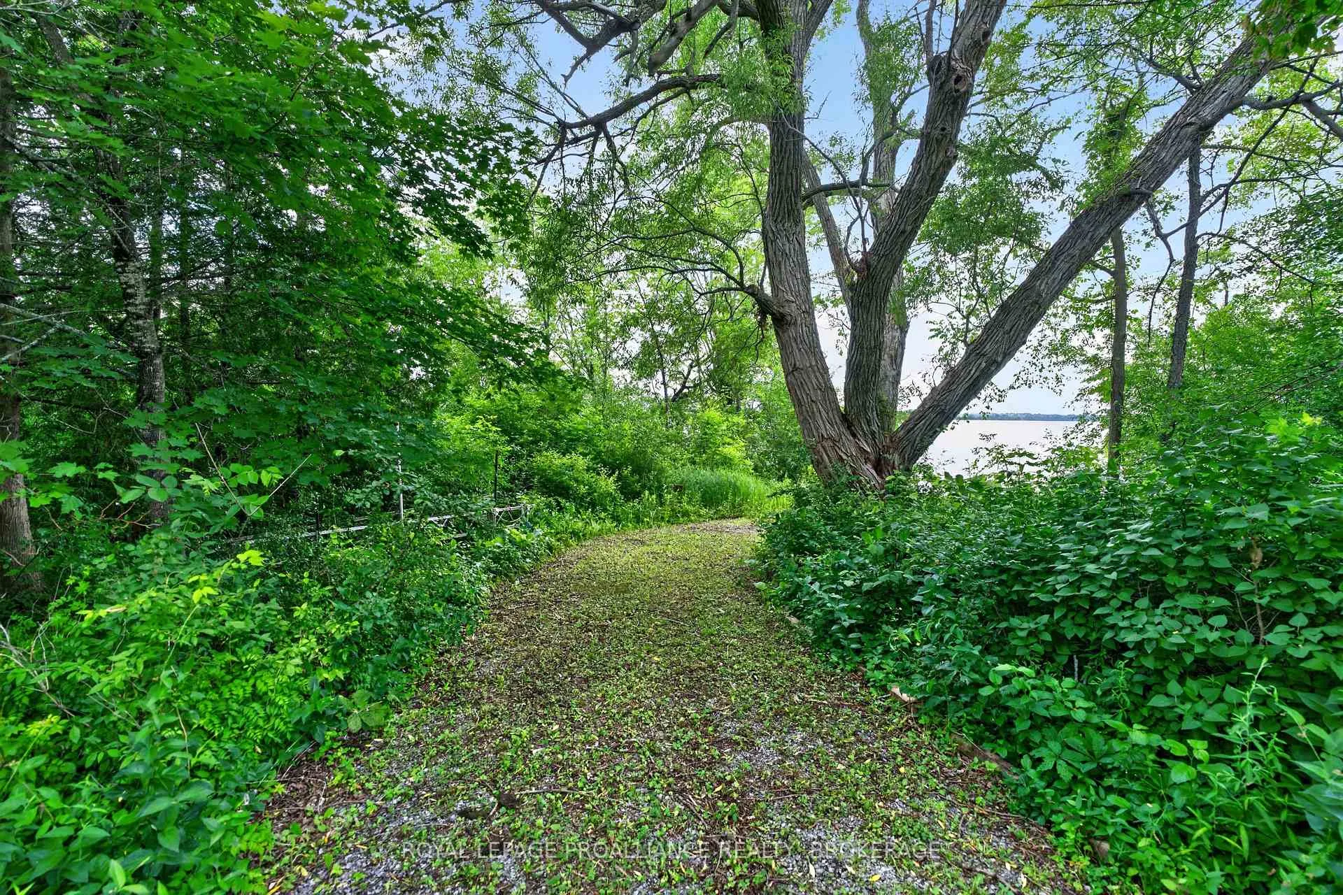 Photo 11 of 1482 Jarvis Road, Kingston, City North of 401 — HOMEH