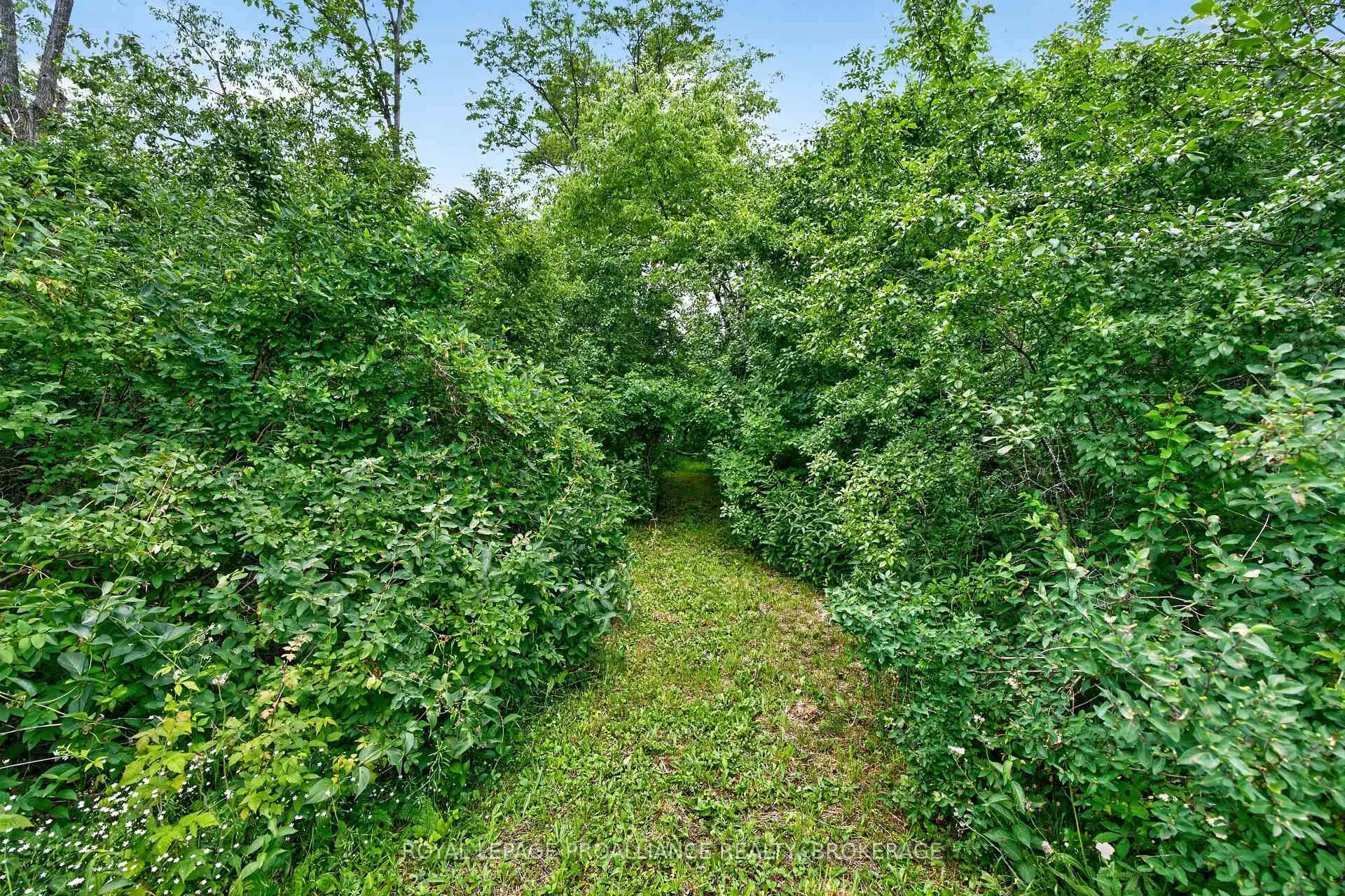 Photo 11 of PT LT 5 Jarvis Road, Kingston, City North of 401 — HOMEH