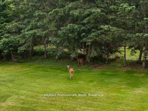 Photo 33 of 1287 Golden Beach Road, Bracebridge, Monck (Bracebridge) — HOMEH