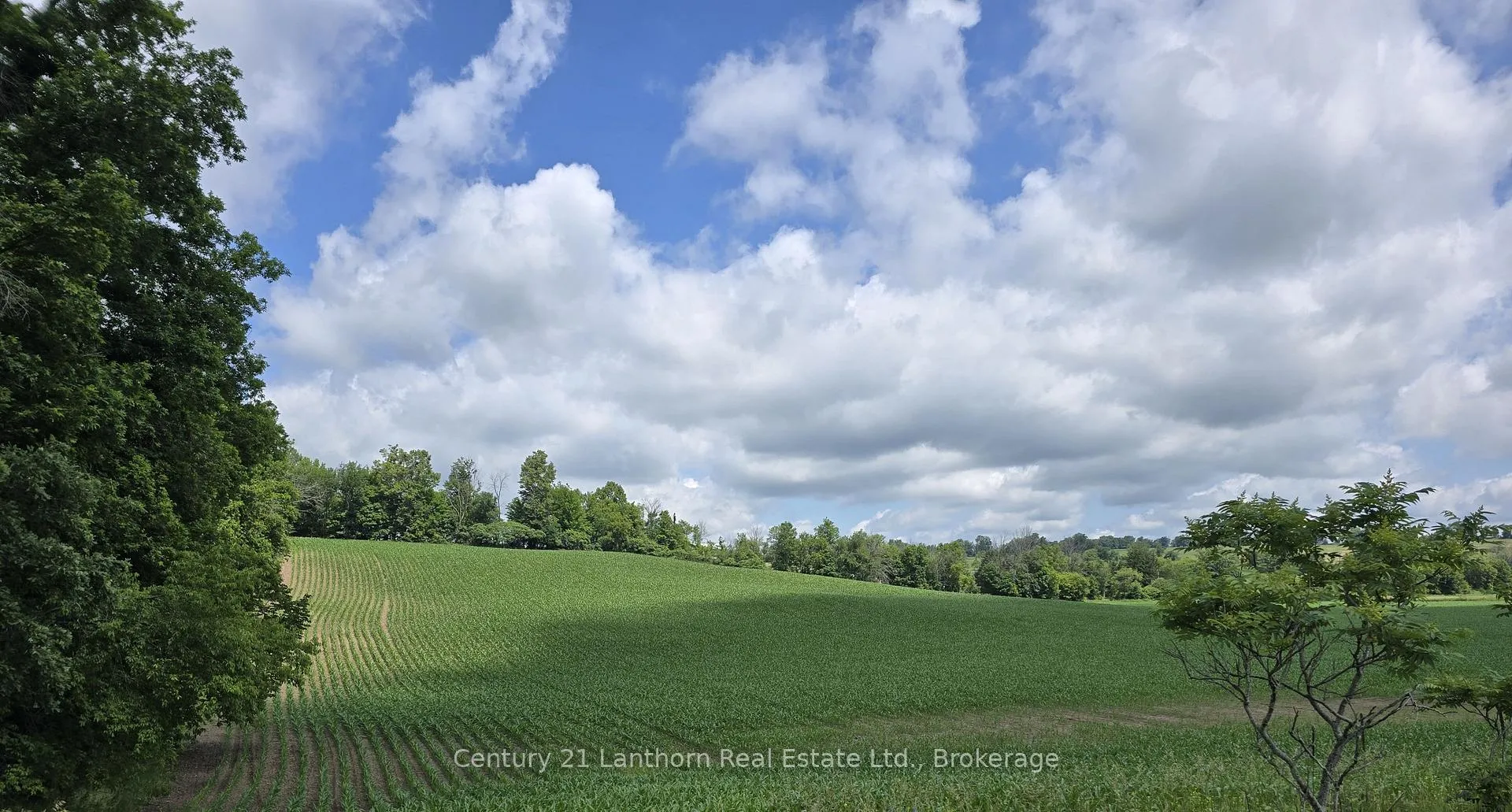 Photo 8 of Ridge Road, Stirling-Rawdon, Rawdon Ward — HOMEH