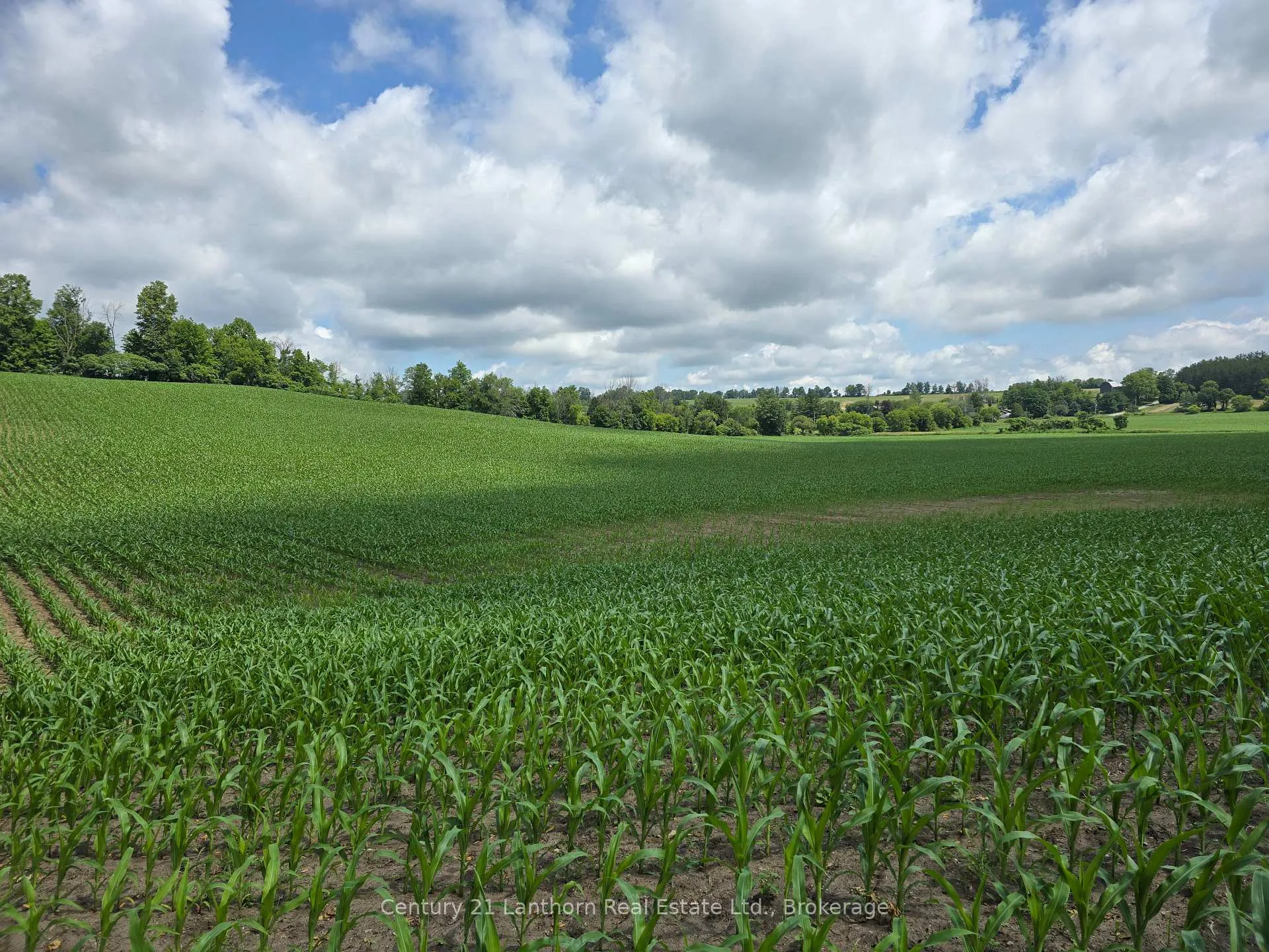Photo 9 of Ridge Road, Stirling-Rawdon, Rawdon Ward — HOMEH