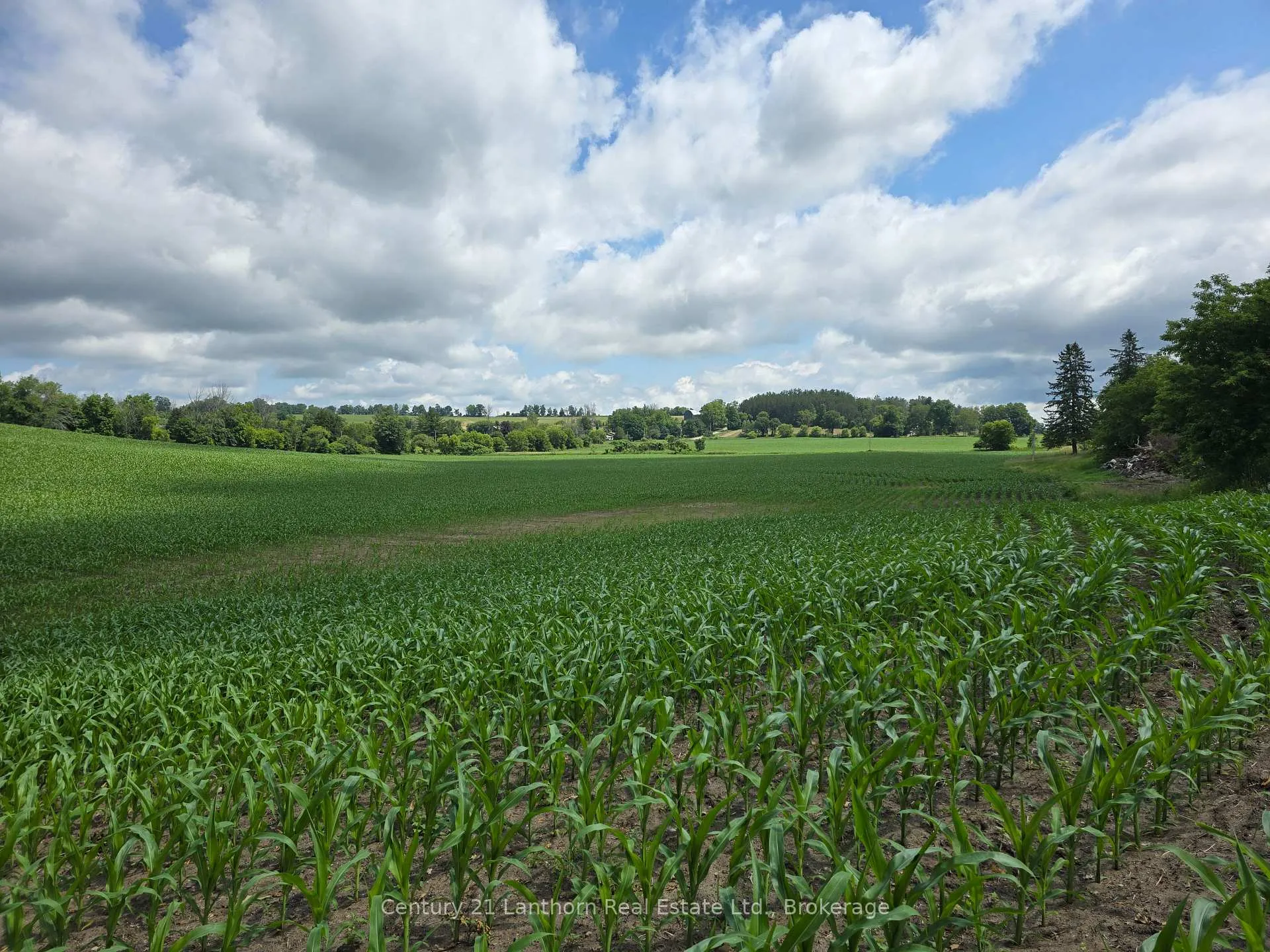 Photo 10 of Ridge Road, Stirling-Rawdon, Rawdon Ward — HOMEH