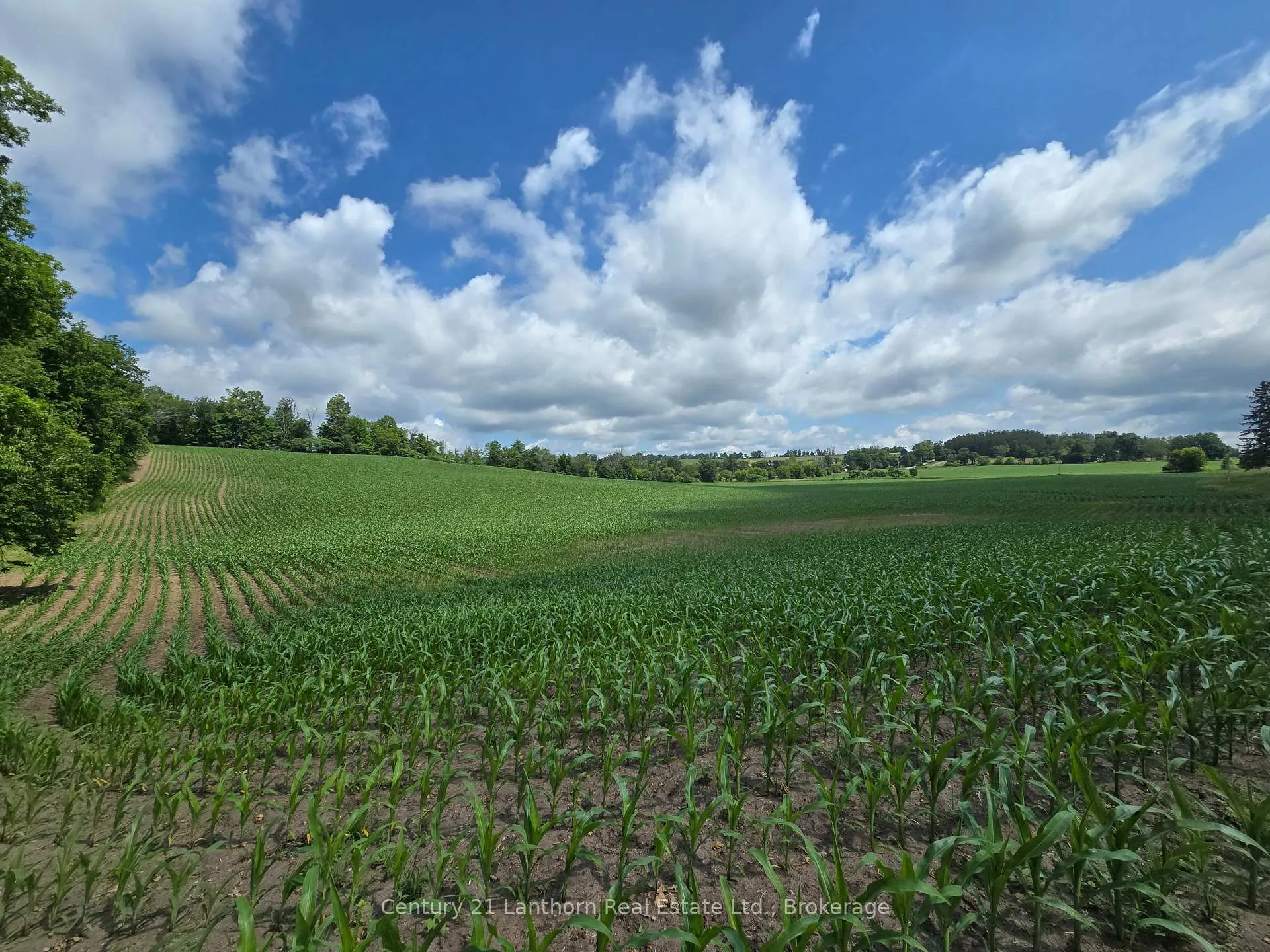 Photo 11 of Ridge Road, Stirling-Rawdon, Rawdon Ward — HOMEH