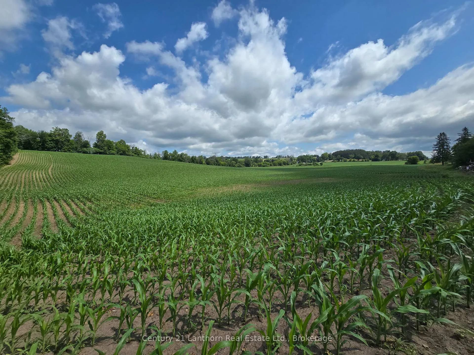Photo 12 of Ridge Road, Stirling-Rawdon, Rawdon Ward — HOMEH