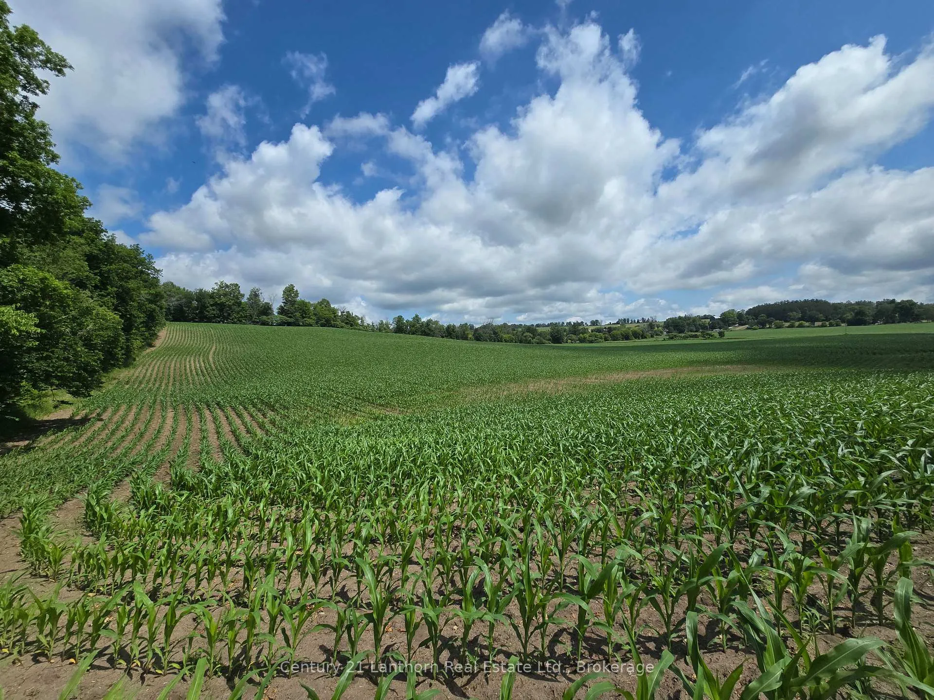 Photo 13 of Ridge Road, Stirling-Rawdon, Rawdon Ward — HOMEH