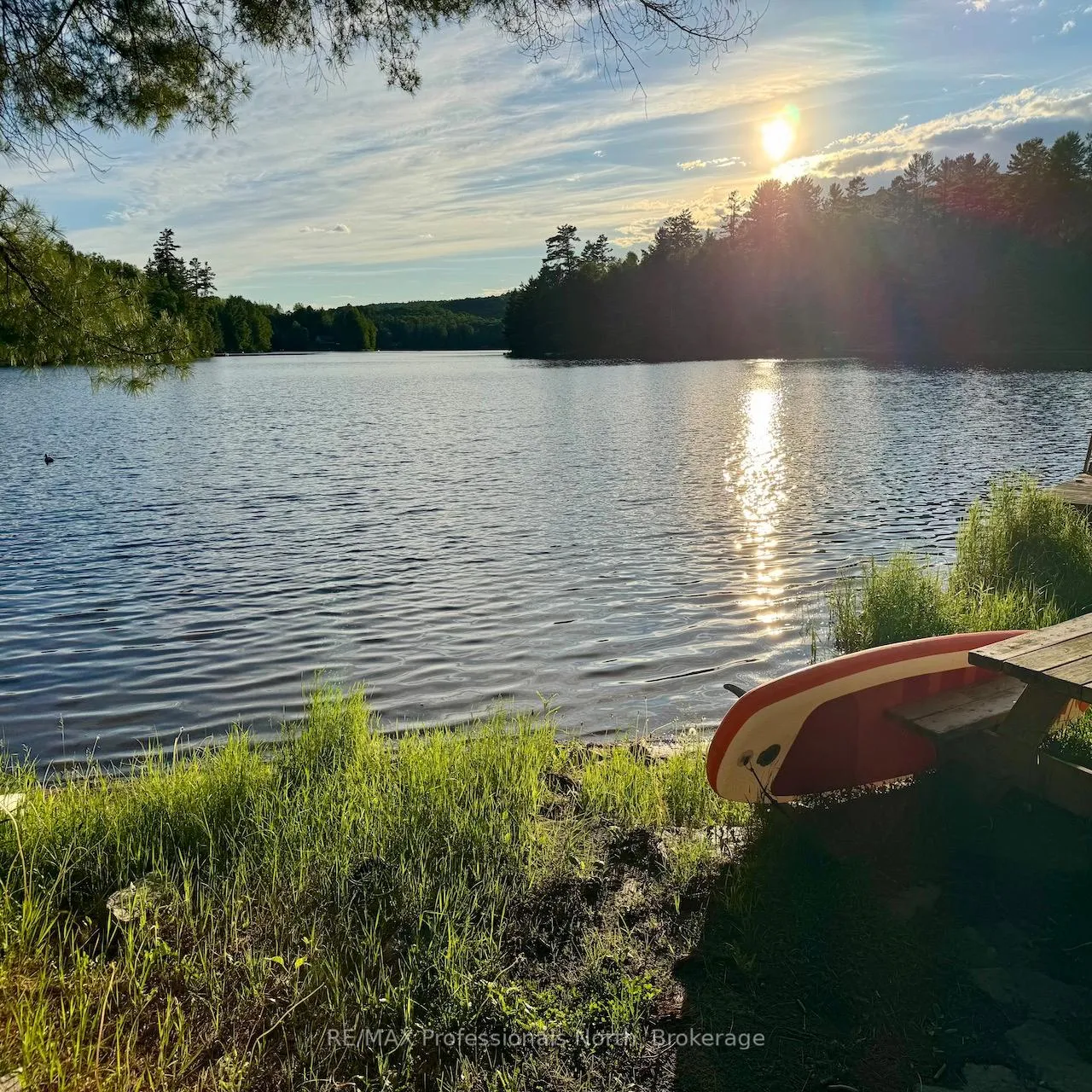 Photo 28 of 1538 Barry Line Road, Algonquin Highlands, Stanhope — HOMEH