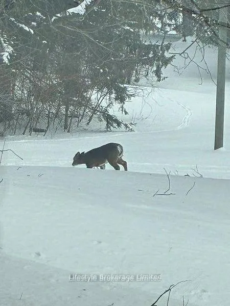 Photo 38 of 2660 Concession 9 Road, Pickering, Rural Pickering — HOMEH