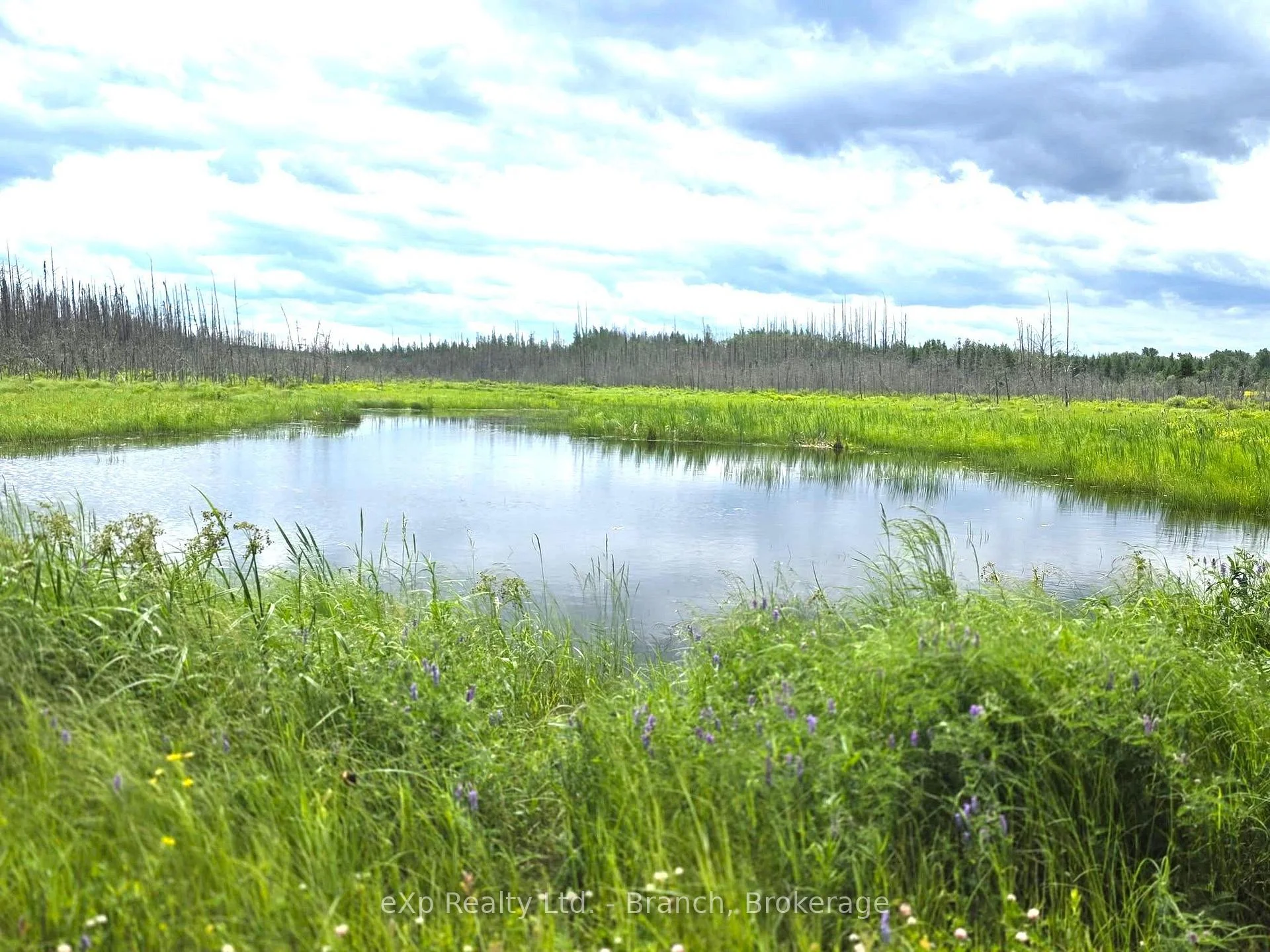 Photo 7 of PCL 3625 LT4 Con 2 Road, Black River Matheson, Matheson Unorganized — HOMEH