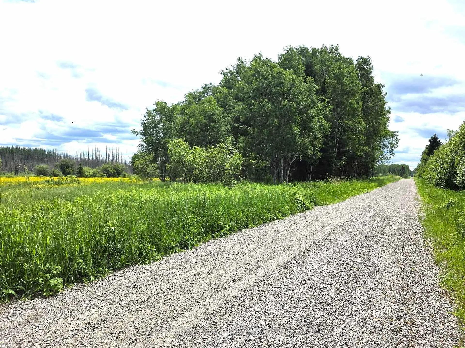 Photo 8 of PCL 3625 LT4 Con 2 Road, Black River Matheson, Matheson Unorganized — HOMEH