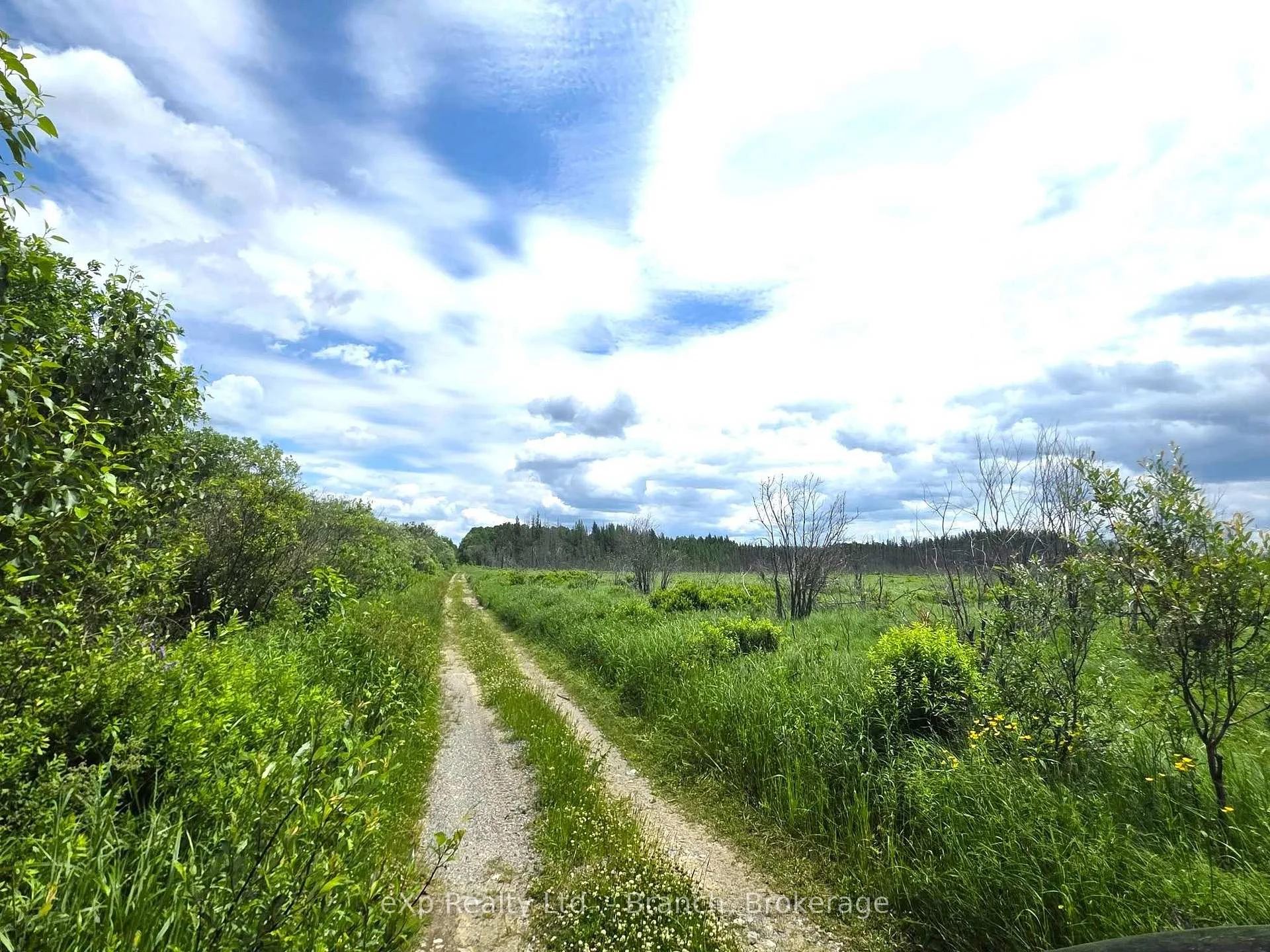Photo 9 of PCL 3625 LT4 Con 2 Road, Black River Matheson, Matheson Unorganized — HOMEH