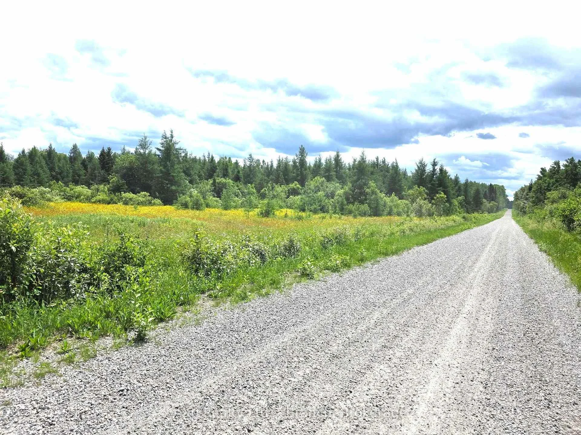 Photo 10 of PCL 3625 LT4 Con 2 Road, Black River Matheson, Matheson Unorganized — HOMEH
