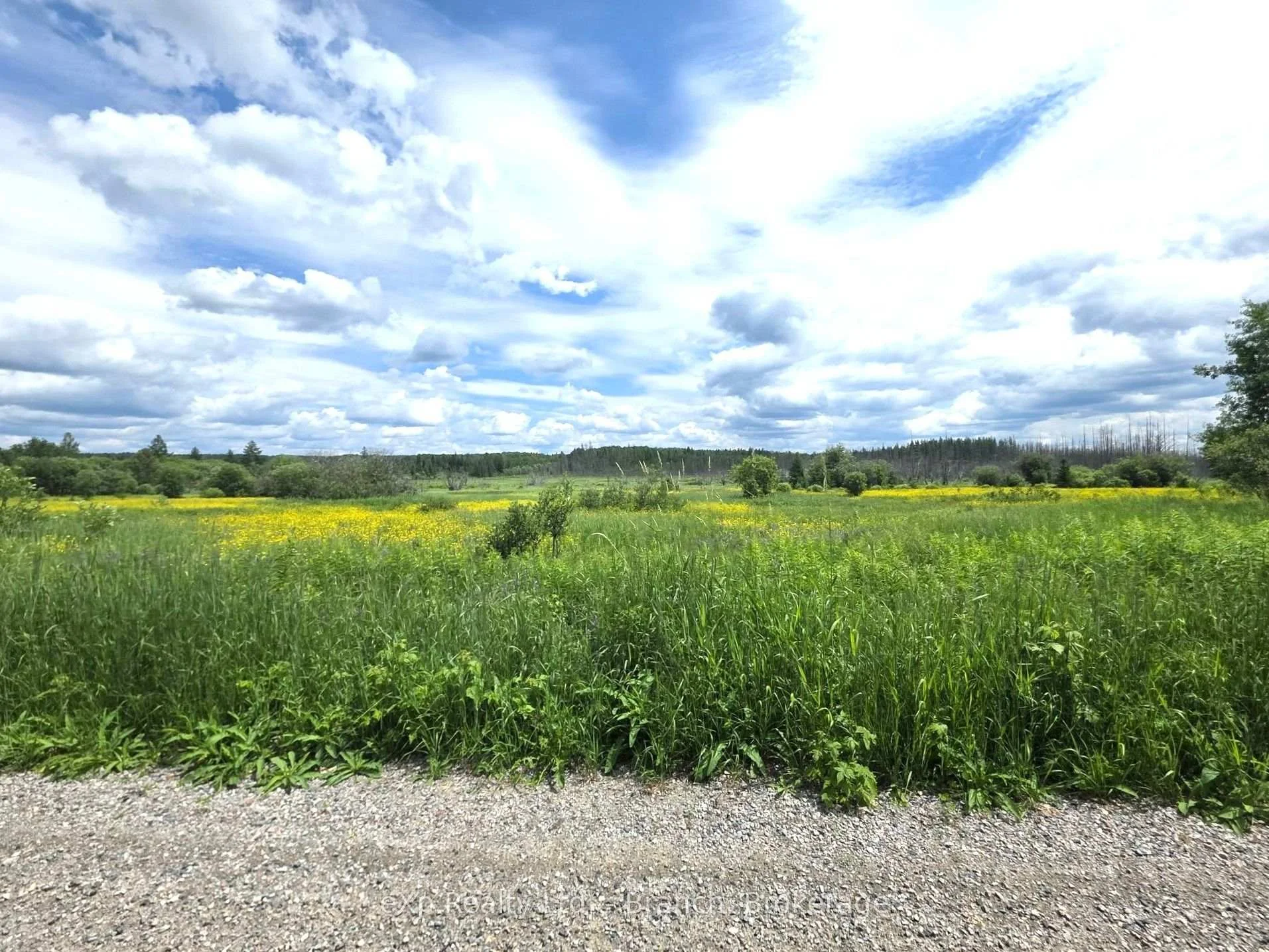 Photo 11 of PCL 3625 LT4 Con 2 Road, Black River Matheson, Matheson Unorganized — HOMEH
