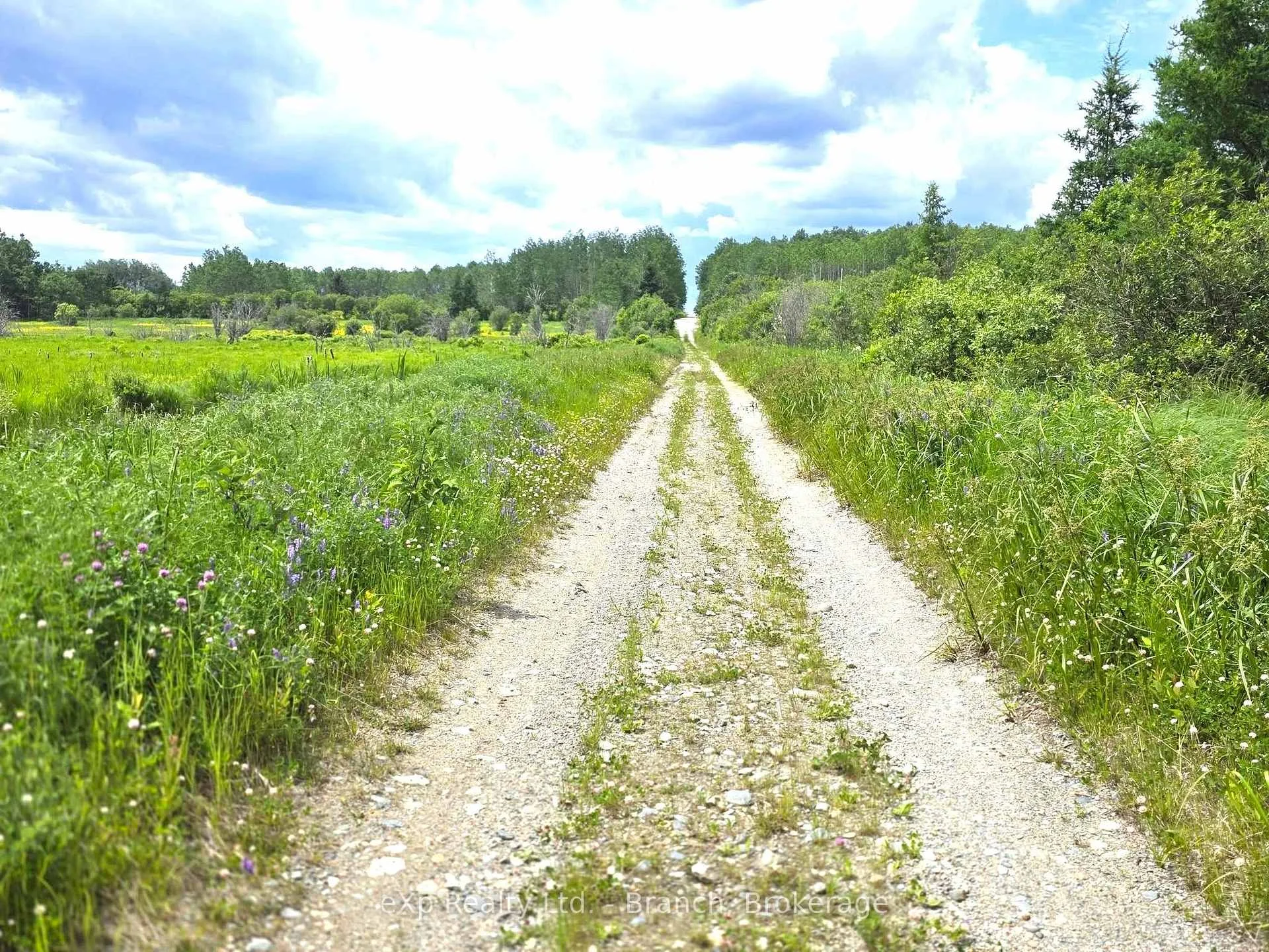 Photo 12 of PCL 3625 LT4 Con 2 Road, Black River Matheson, Matheson Unorganized — HOMEH