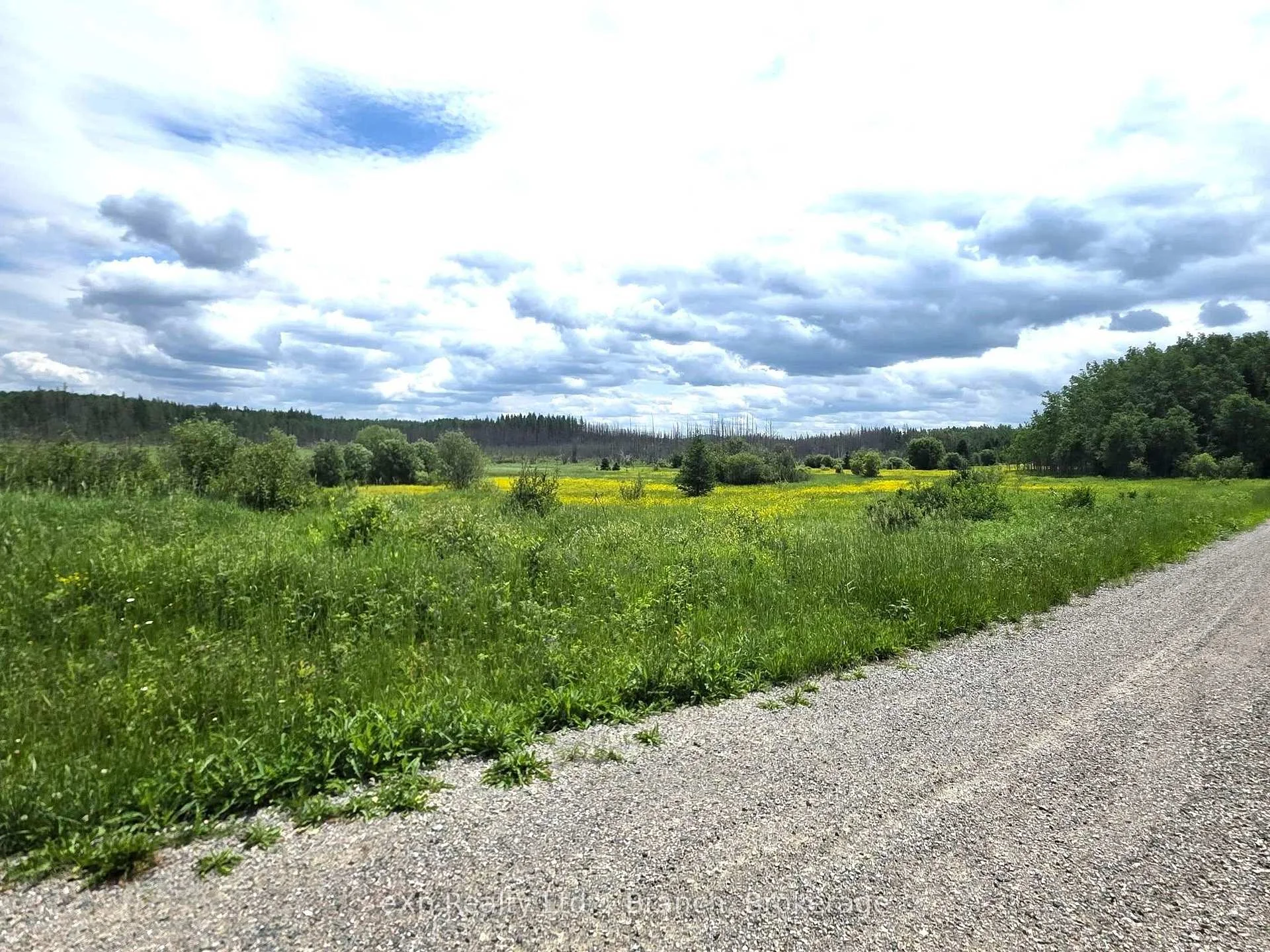 Photo 13 of PCL 3625 LT4 Con 2 Road, Black River Matheson, Matheson Unorganized — HOMEH