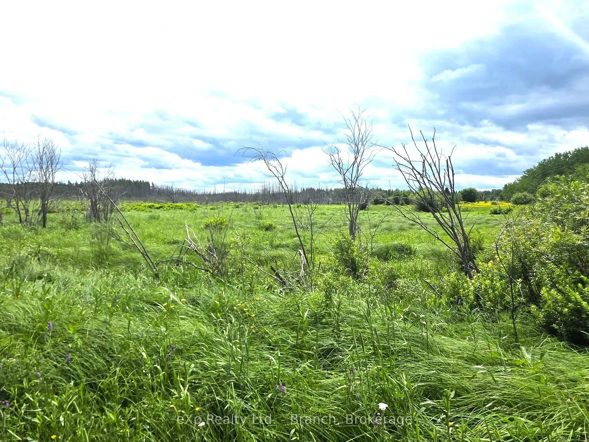 Photo 14 of PCL 3625 LT4 Con 2 Road, Black River Matheson, Matheson Unorganized — HOMEH