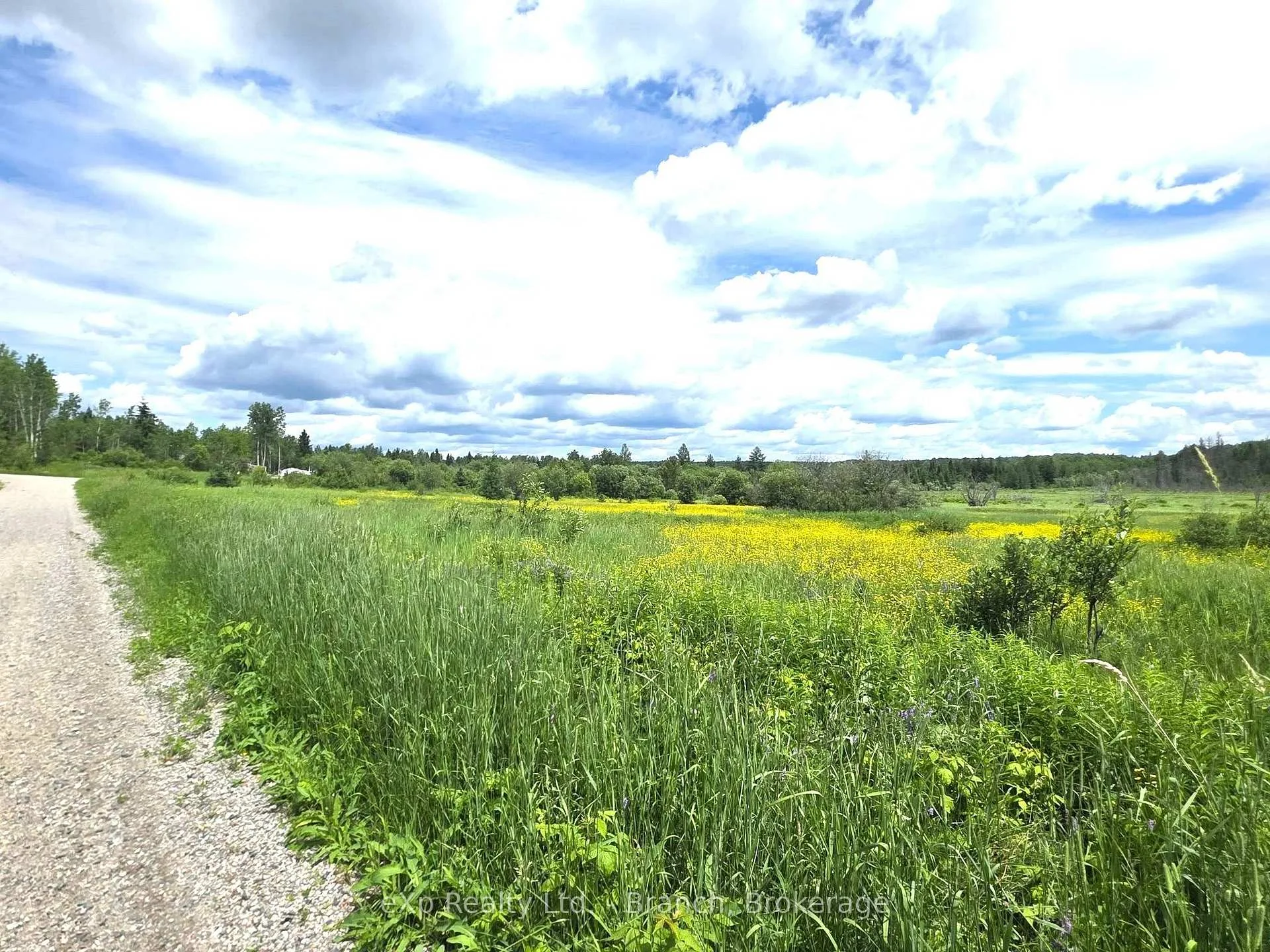 Photo 15 of PCL 3625 LT4 Con 2 Road, Black River Matheson, Matheson Unorganized — HOMEH