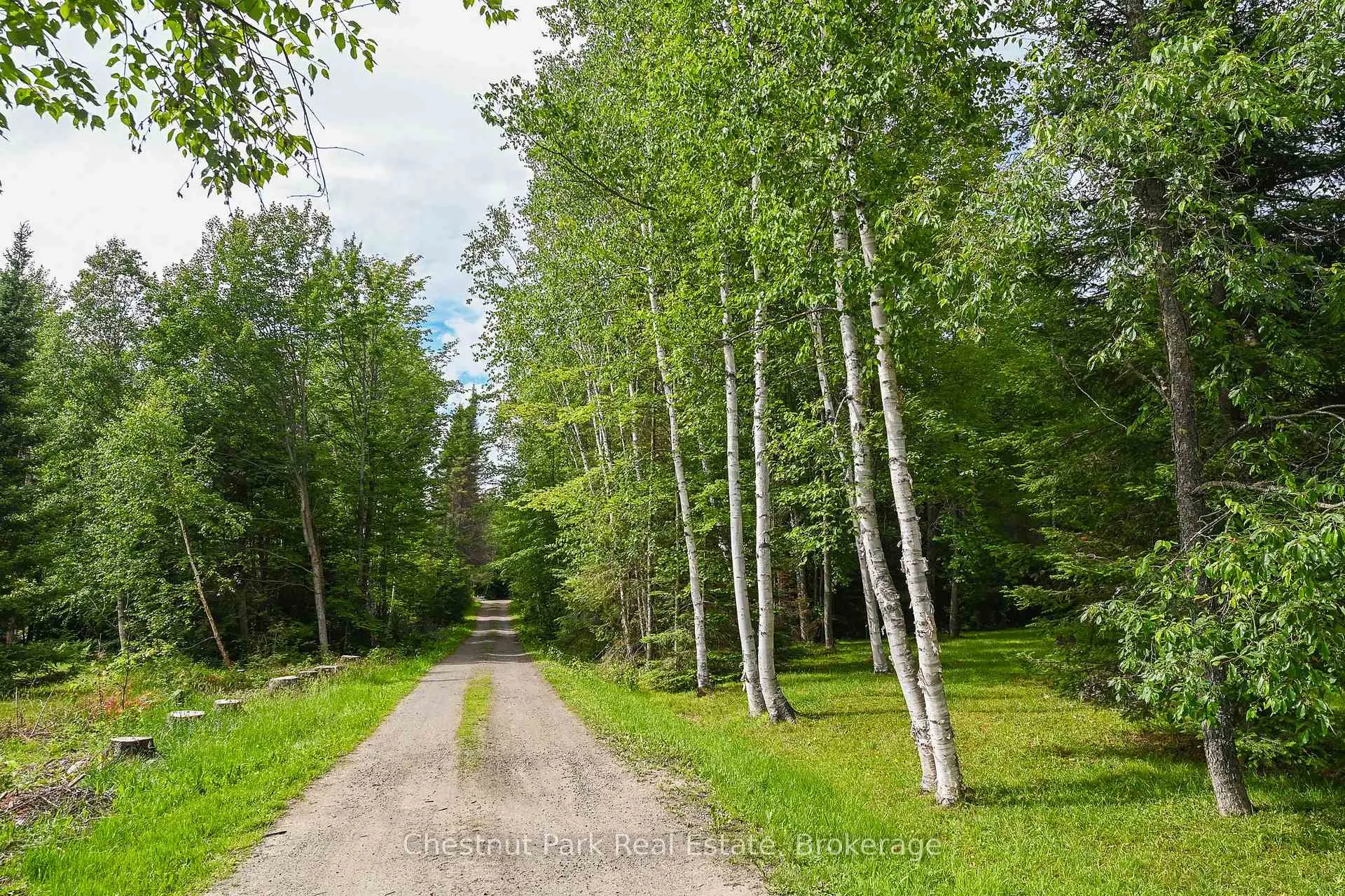 Photo 3 of 00 Willard's Lane, Parry Sound Remote Area, Lount — HOMEH