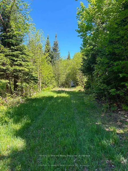 Photo 4 of 371 Albion Lake Drive, Faraday — HOMEH