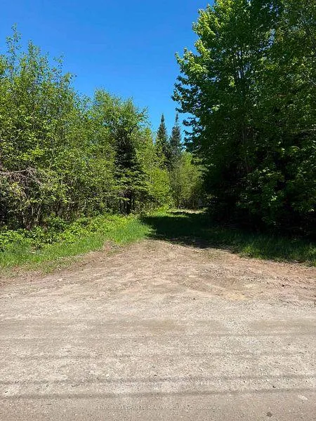 Photo 6 of 371 Albion Lake Drive, Faraday — HOMEH