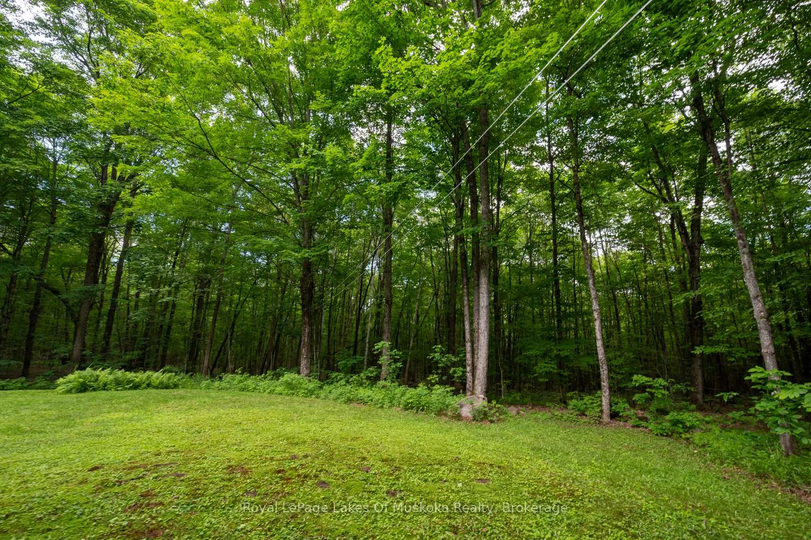 Photo 29 of 4325 Stisted Road, McMurrich/Monteith, McMurrich — HOMEH