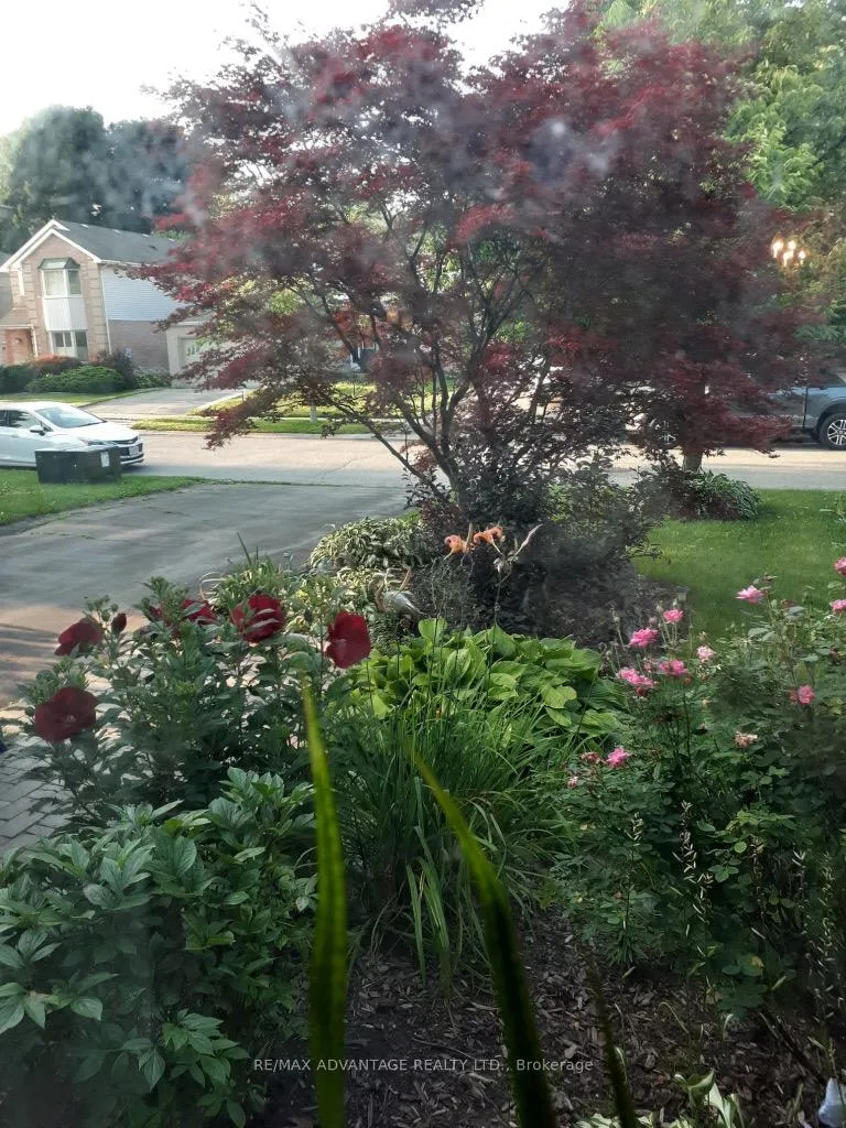 Photo 5 of 51 Laurel Crescent, London, North M — HOMEH