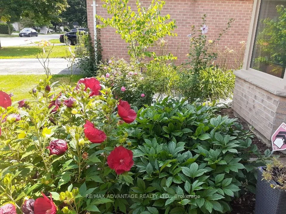 Photo 8 of 51 Laurel Crescent, London, North M — HOMEH