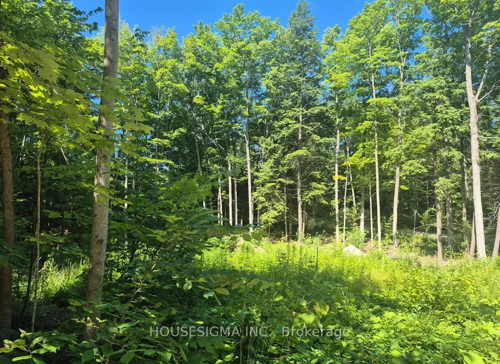 Photo 15 of 68 Beauremi Road, Tiny, Rural Tiny — HOMEH
