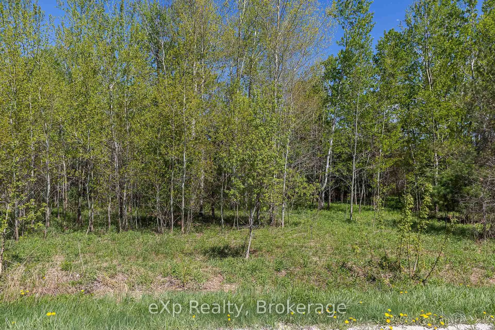Photo 6 of 5716 County Road 9, Clearview, Rural Clearview — HOMEH