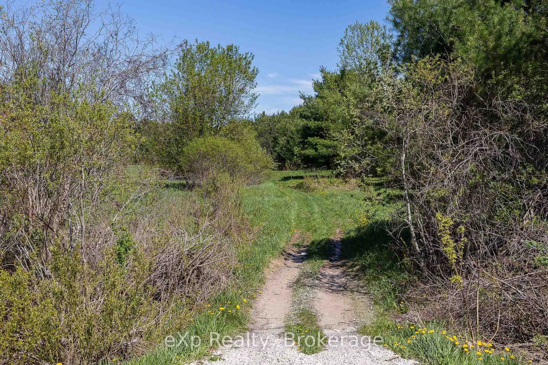 Photo 7 of 5716 County Road 9, Clearview, Rural Clearview — HOMEH