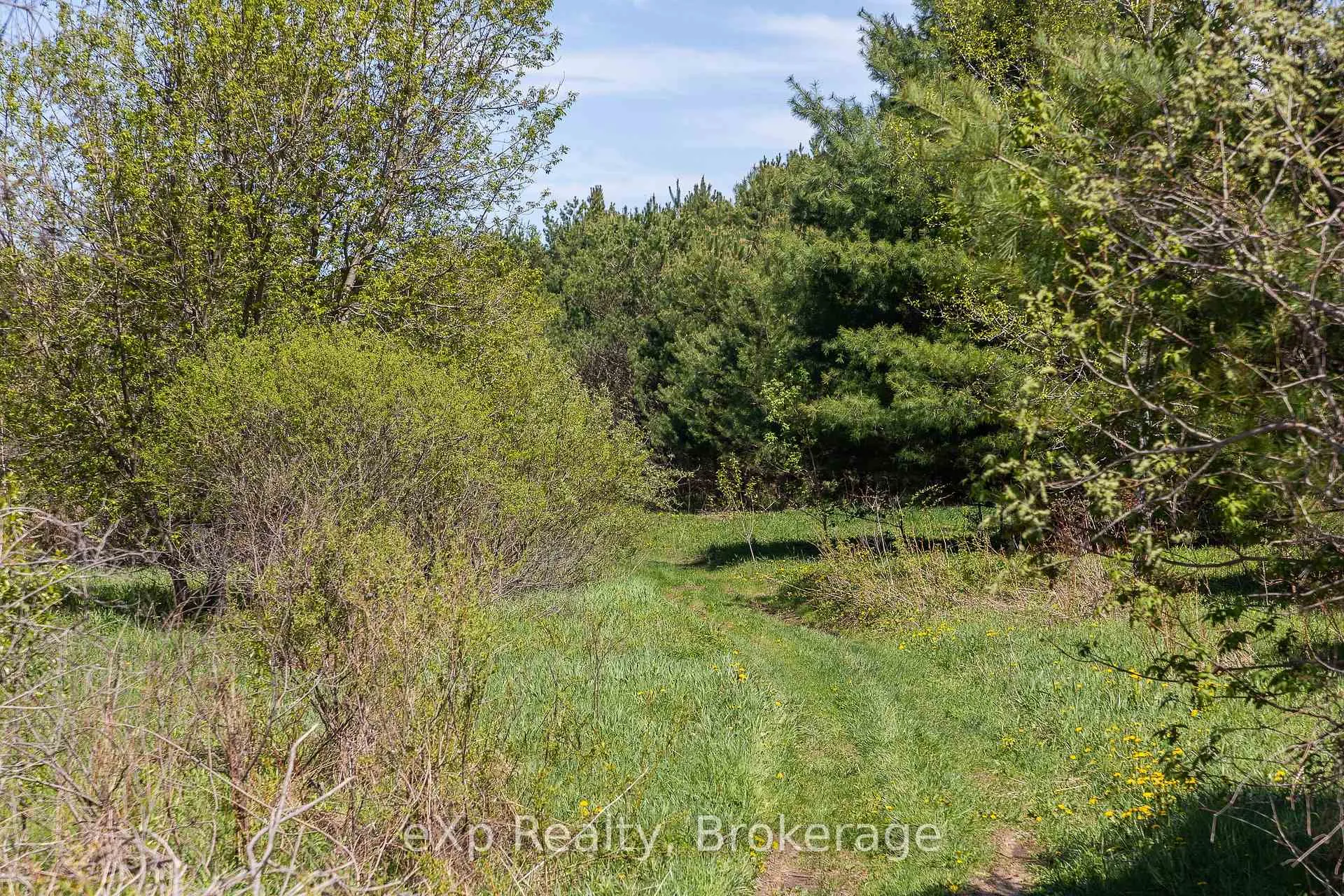 Photo 8 of 5716 County Road 9, Clearview, Rural Clearview — HOMEH