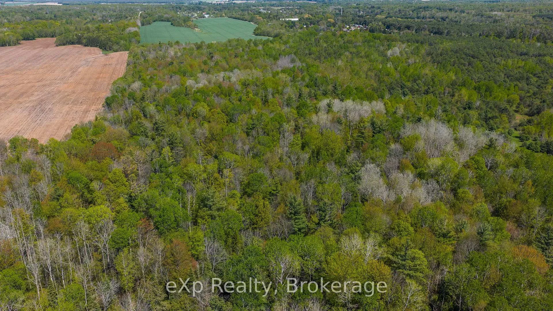Photo 29 of 5716 County Road 9, Clearview, Rural Clearview — HOMEH