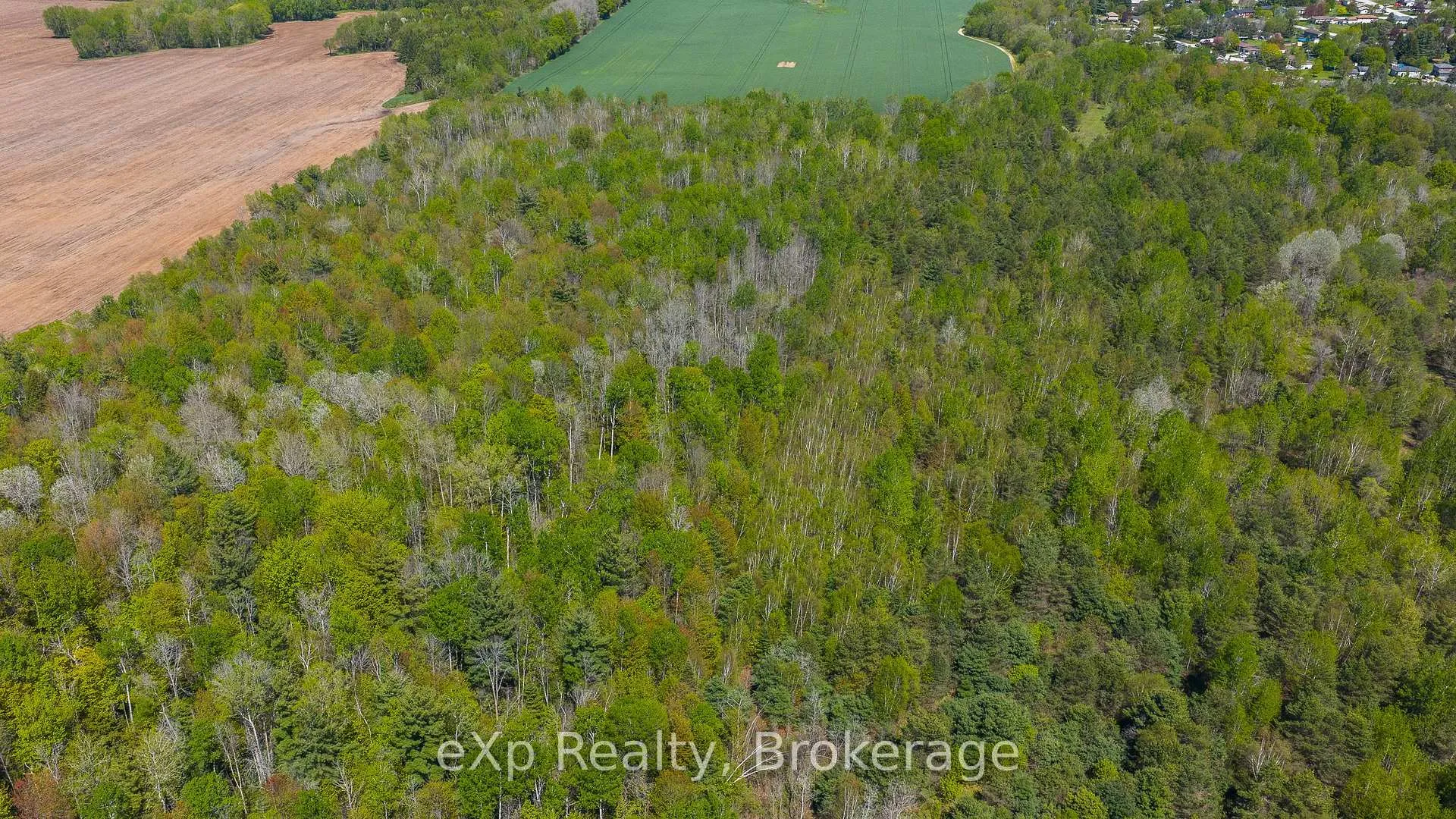 Photo 32 of 5716 County Road 9, Clearview, Rural Clearview — HOMEH