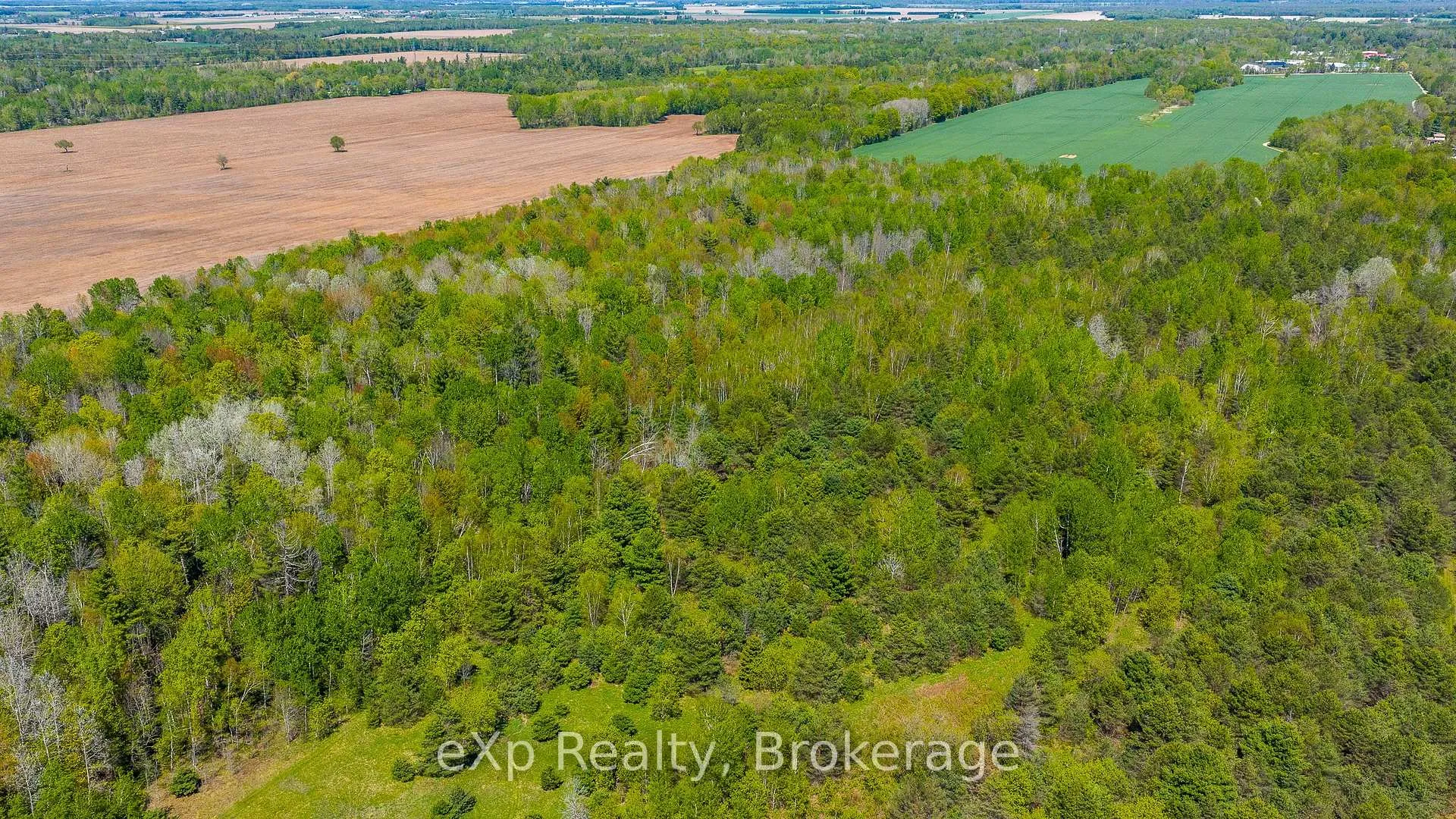 Photo 35 of 5716 County Road 9, Clearview, Rural Clearview — HOMEH