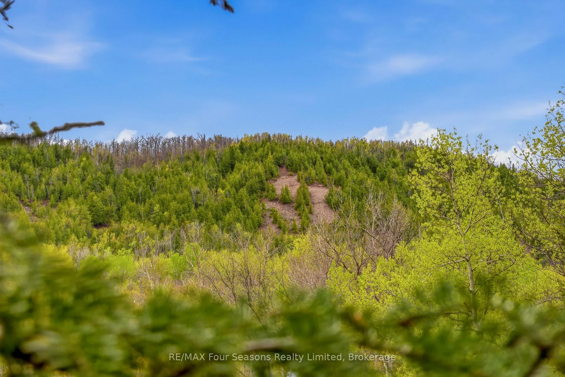 Photo 29 of 220 Hidden Lake Road, Blue Mountains — HOMEH