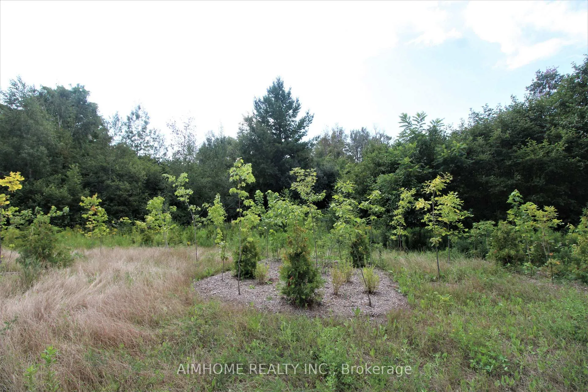Photo 20 of 151 Bridgepointe Court, Aurora, Rural Aurora — HOMEH