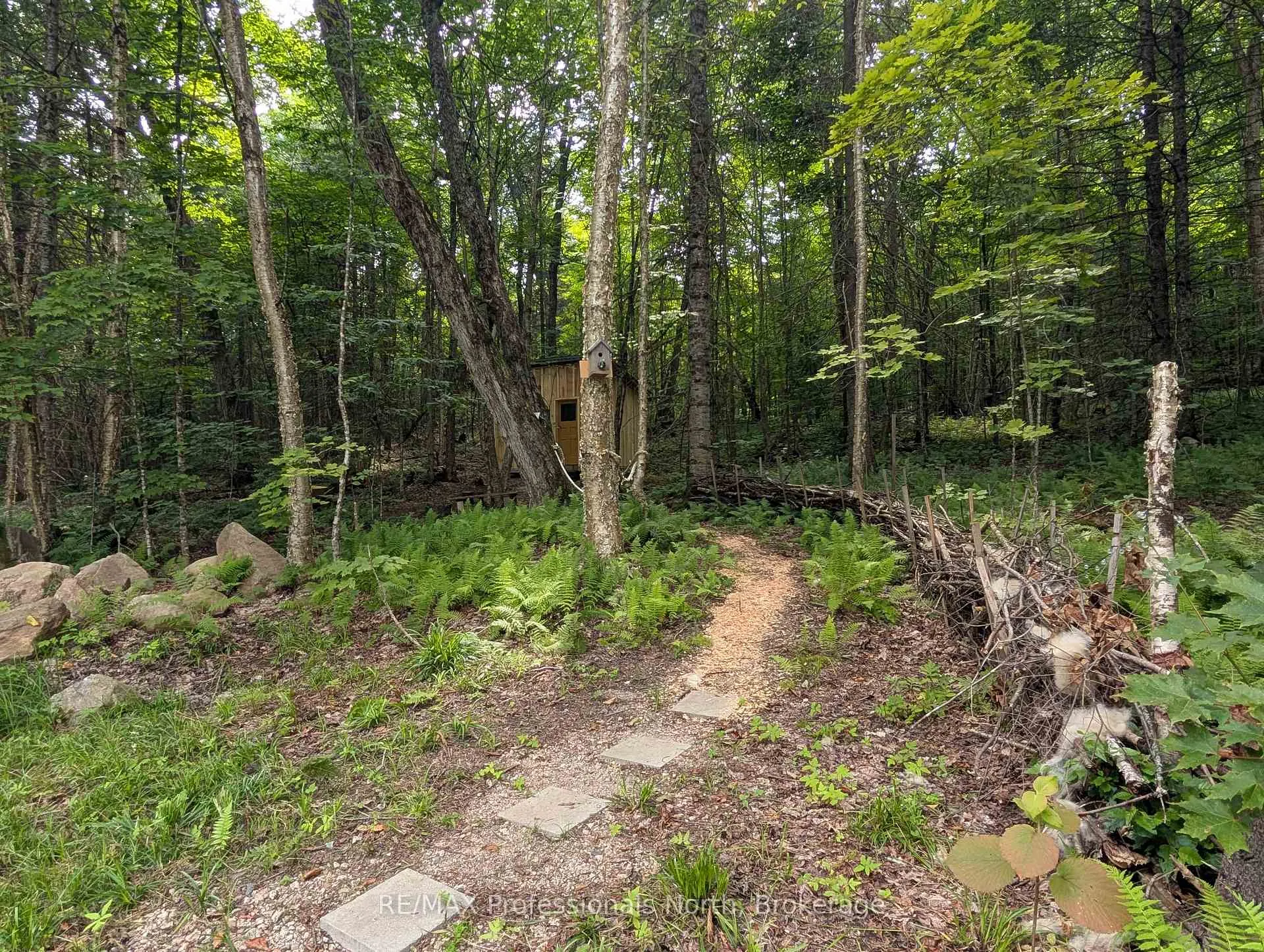 Photo 14 of 22 Mill Road, Parry Sound Remote Area, Lount — HOMEH