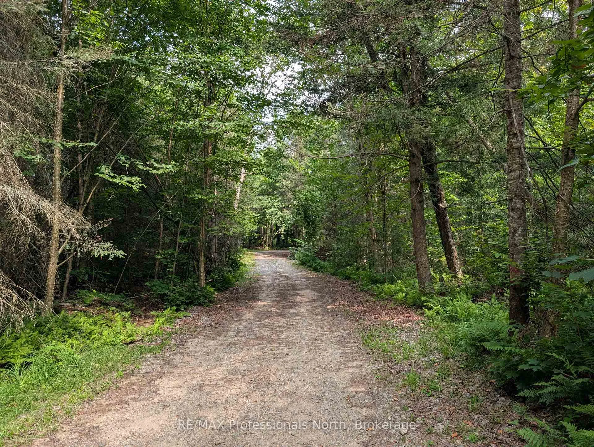 Photo 22 of 22 Mill Road, Parry Sound Remote Area, Lount — HOMEH