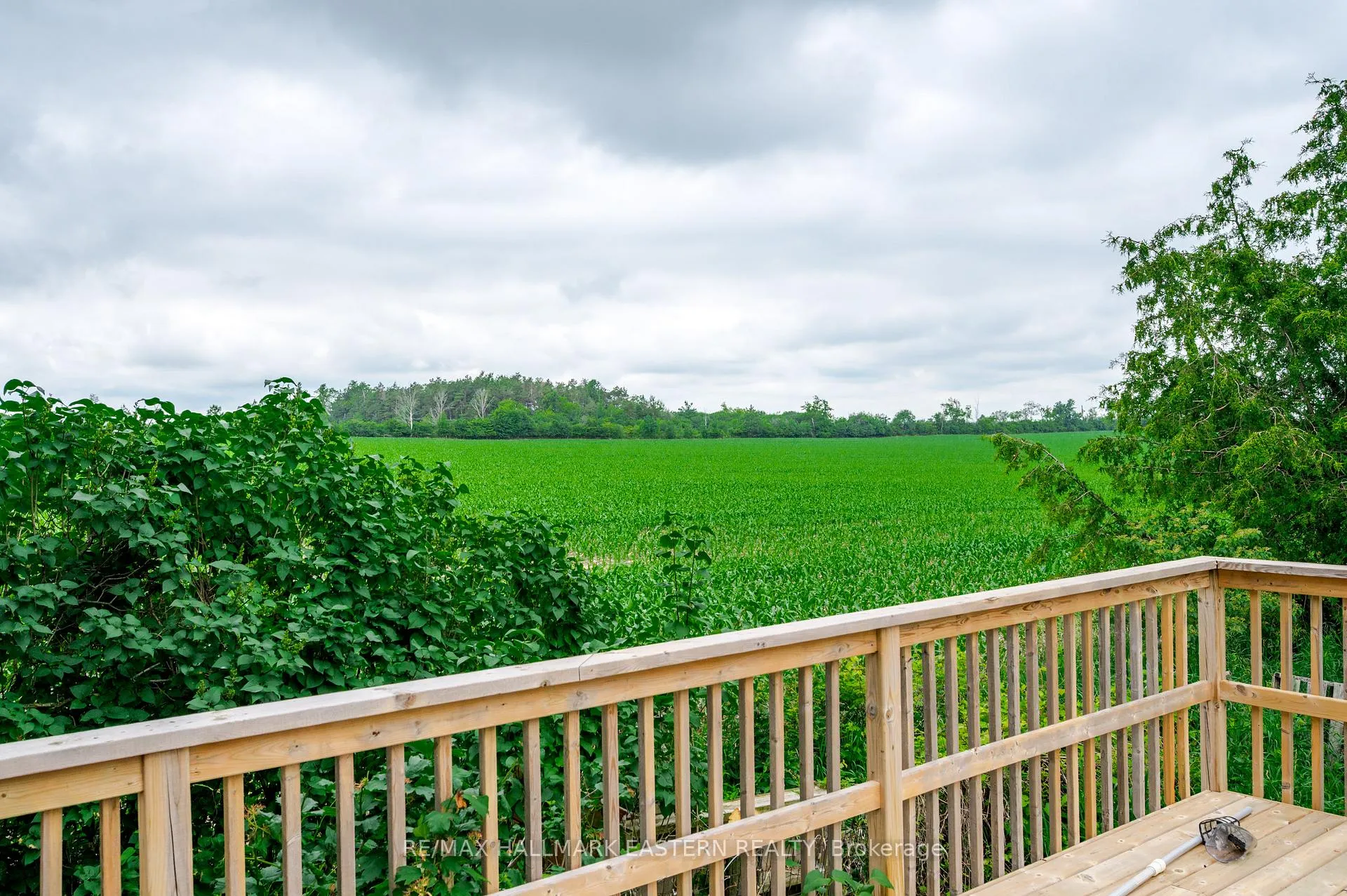 Photo 33 of 785 Highway 35, Kawartha Lakes, Manvers — HOMEH