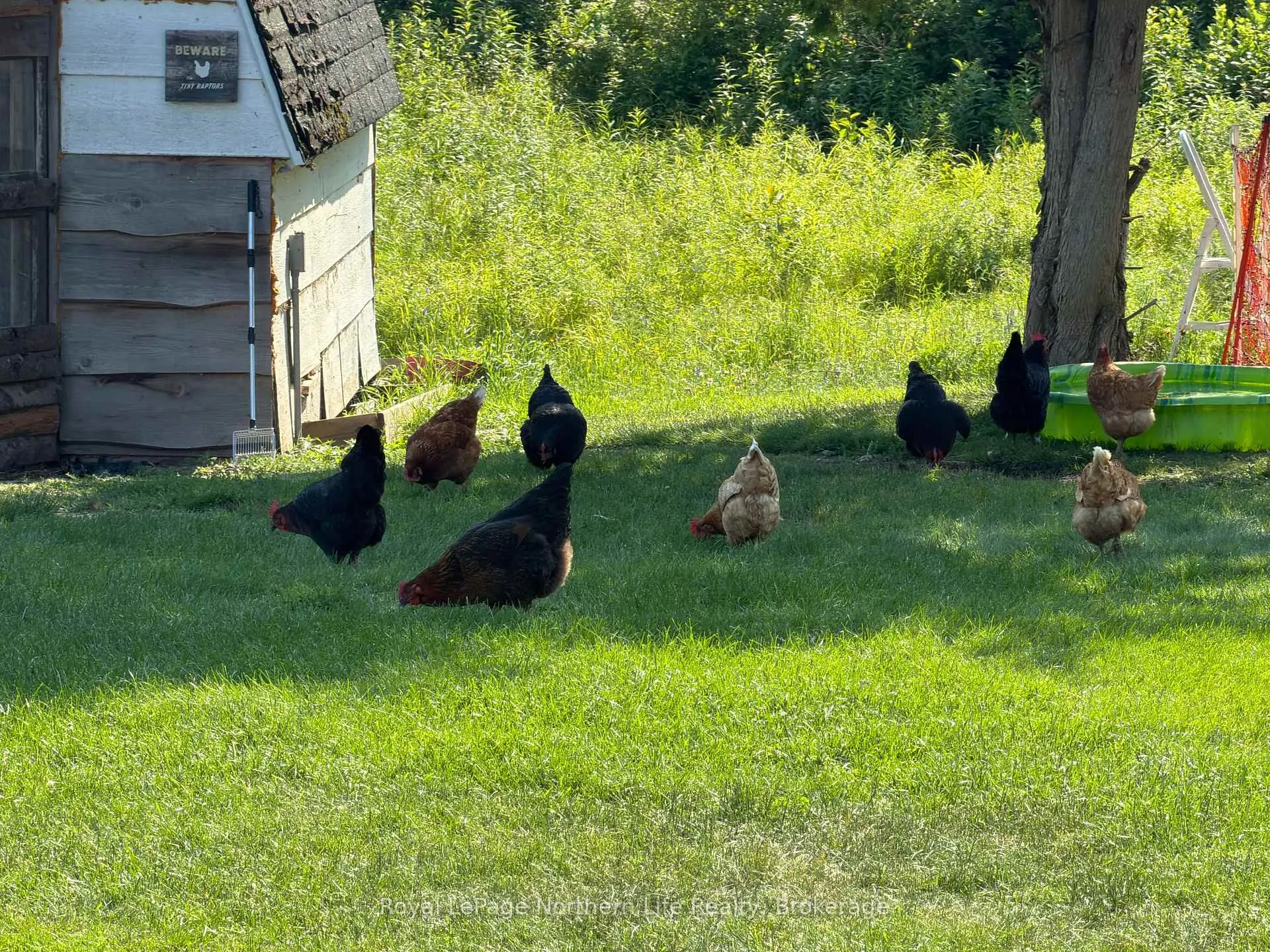 Photo 5 of 799 Maple Hill Road, Powassan — HOMEH