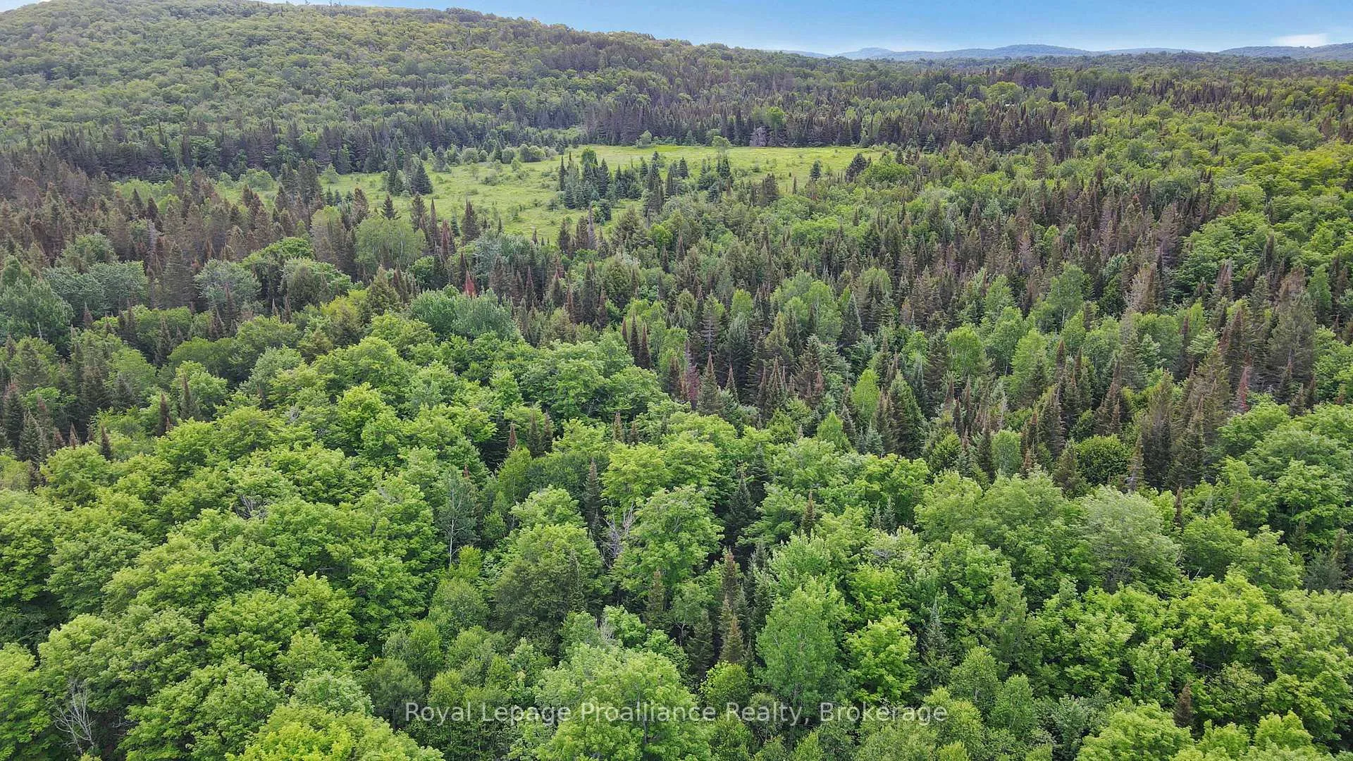 Photo 7 of 26643 Highway 60, South Algonquin — HOMEH