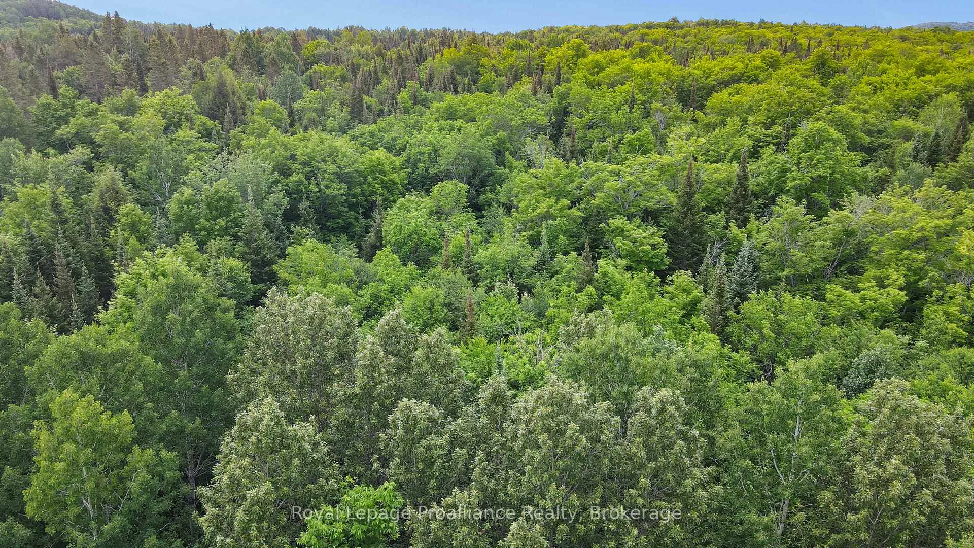 Photo 11 of 26643 Highway 60, South Algonquin — HOMEH