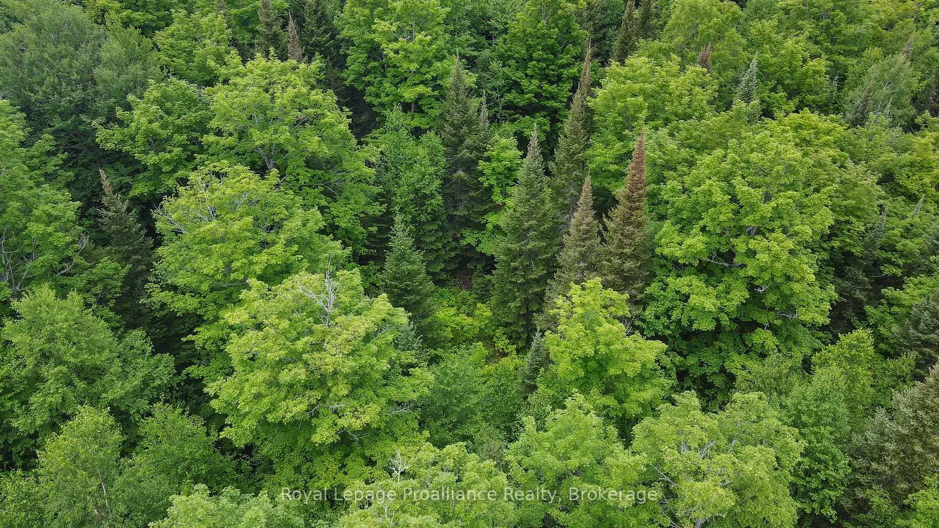 Photo 14 of 26643 Highway 60, South Algonquin — HOMEH