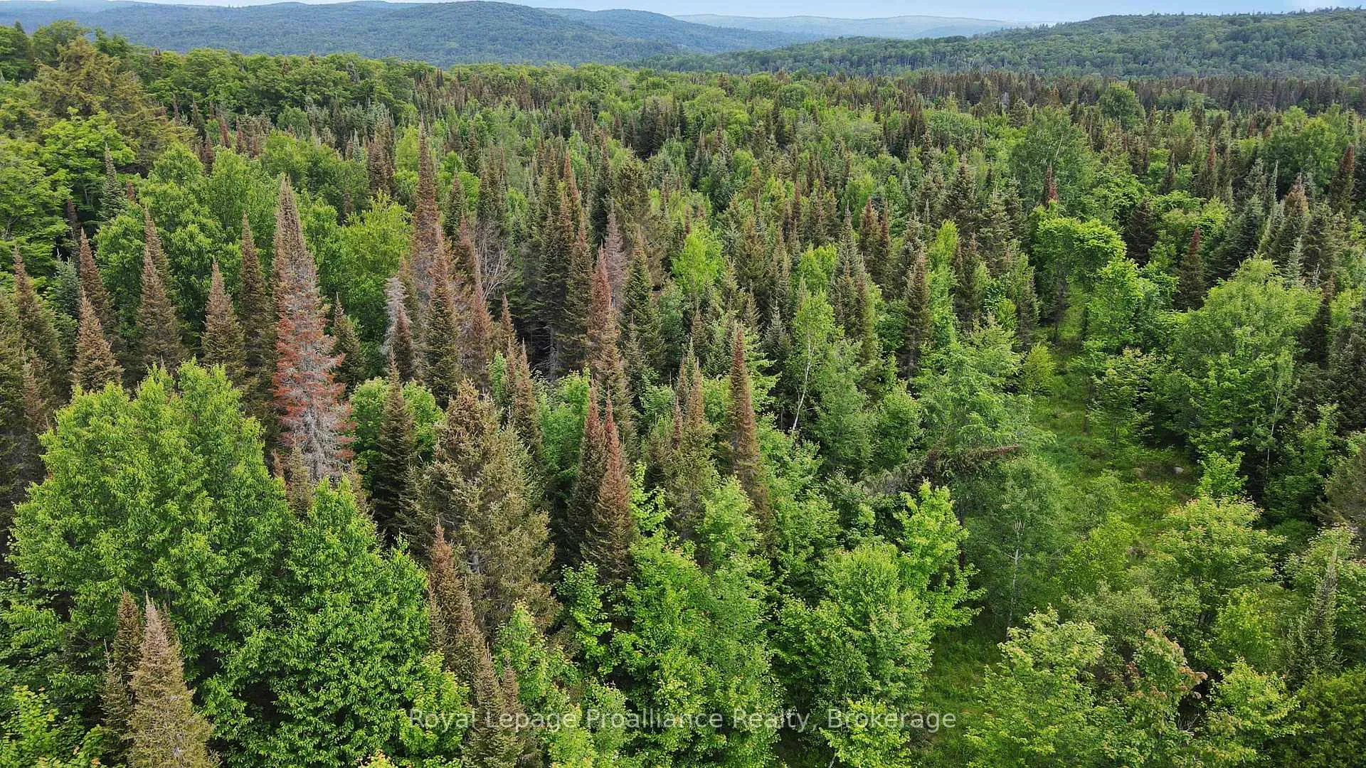 Photo 15 of 26643 Highway 60, South Algonquin — HOMEH