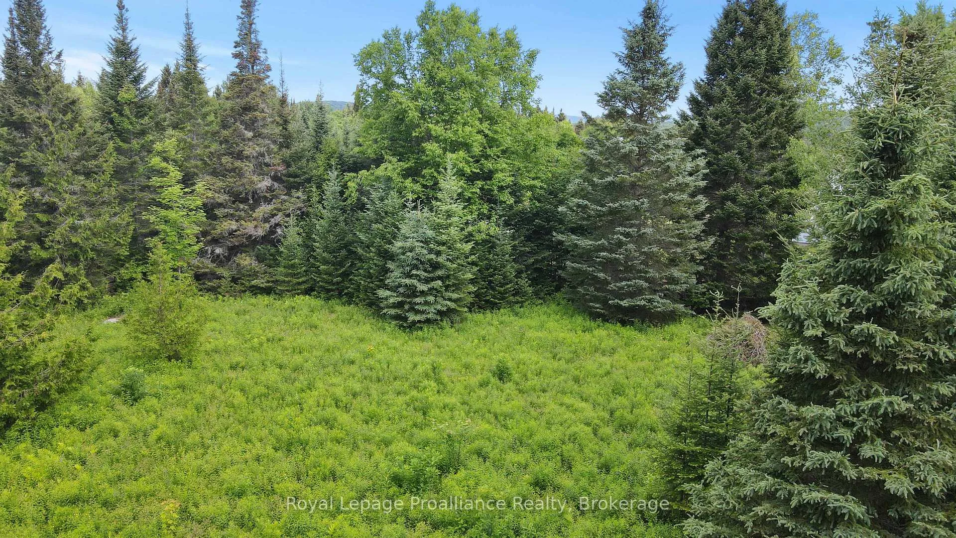 Photo 16 of 26643 Highway 60, South Algonquin — HOMEH