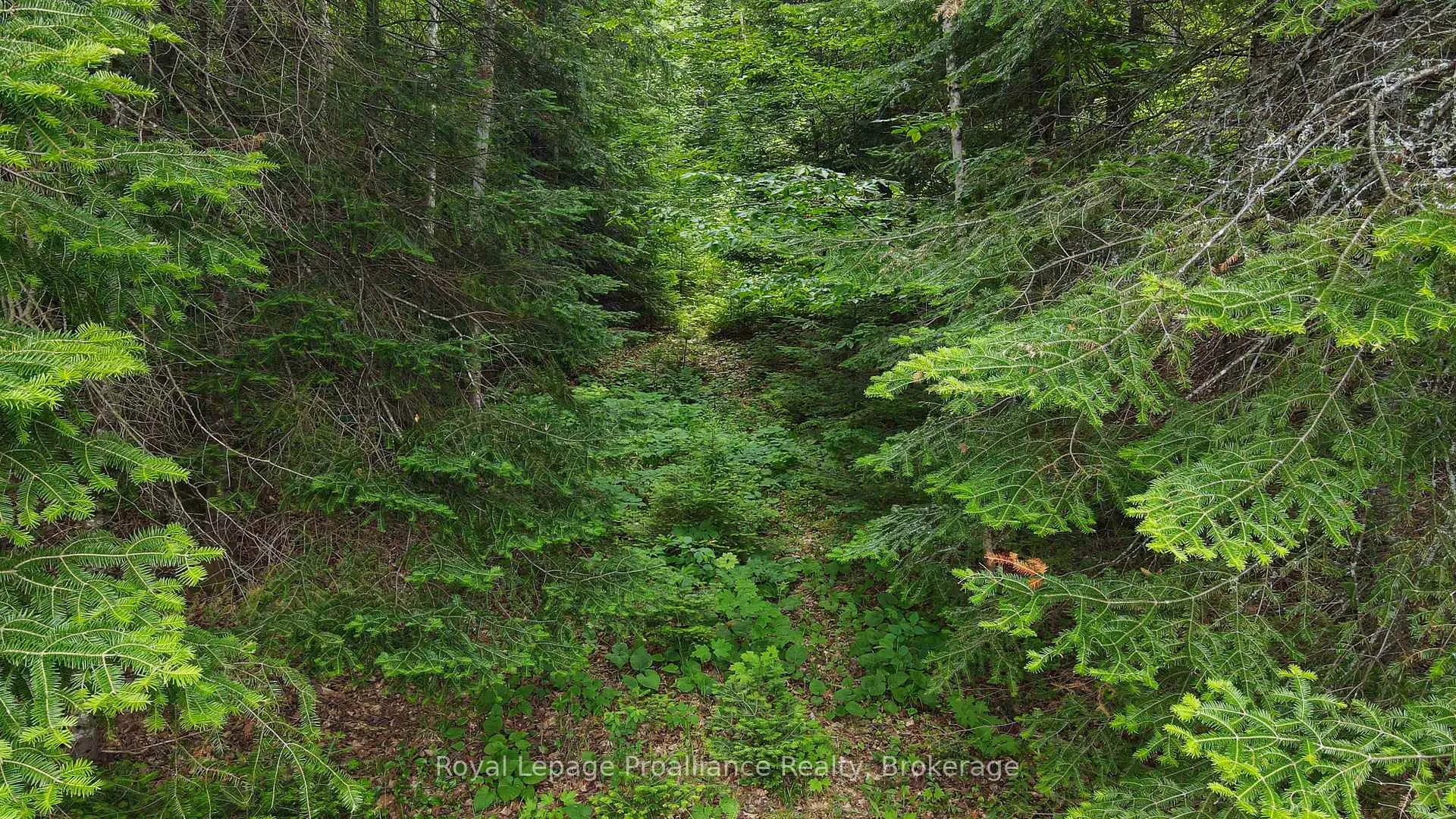 Photo 17 of 26643 Highway 60, South Algonquin — HOMEH