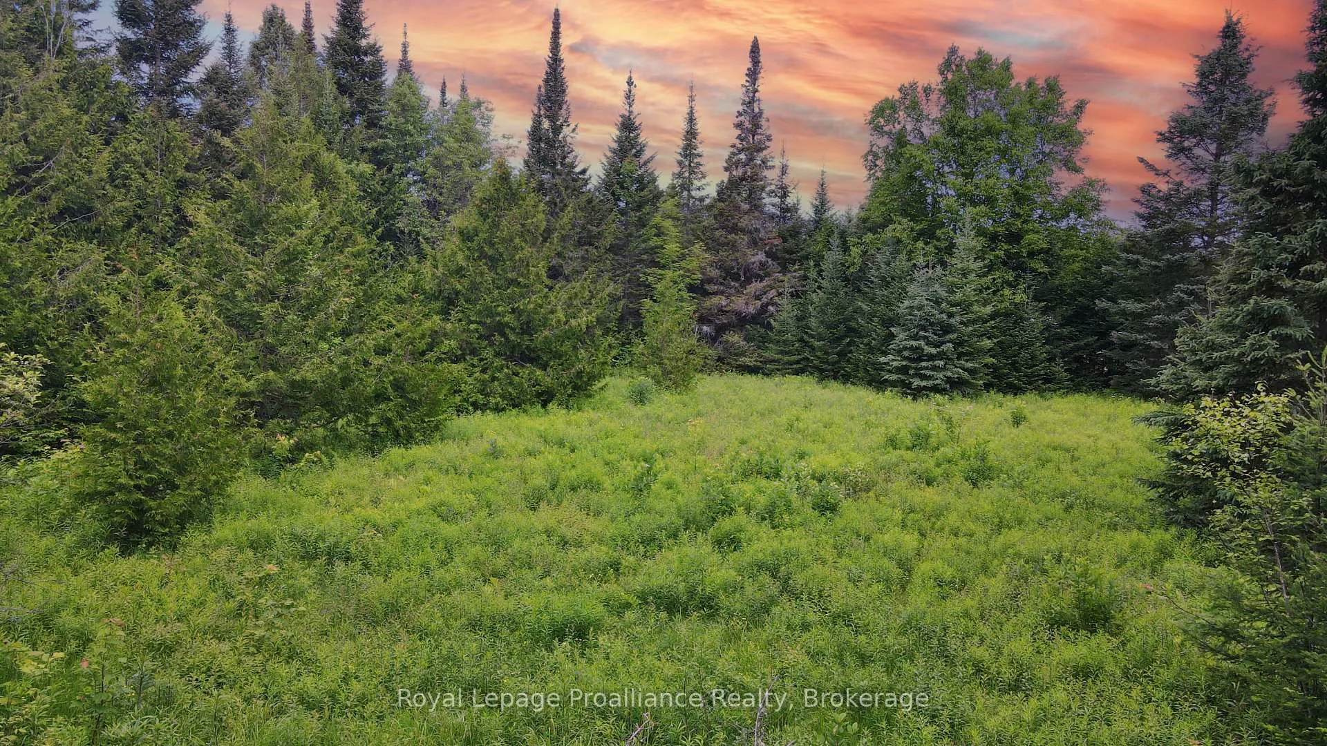 Photo 18 of 26643 Highway 60, South Algonquin — HOMEH