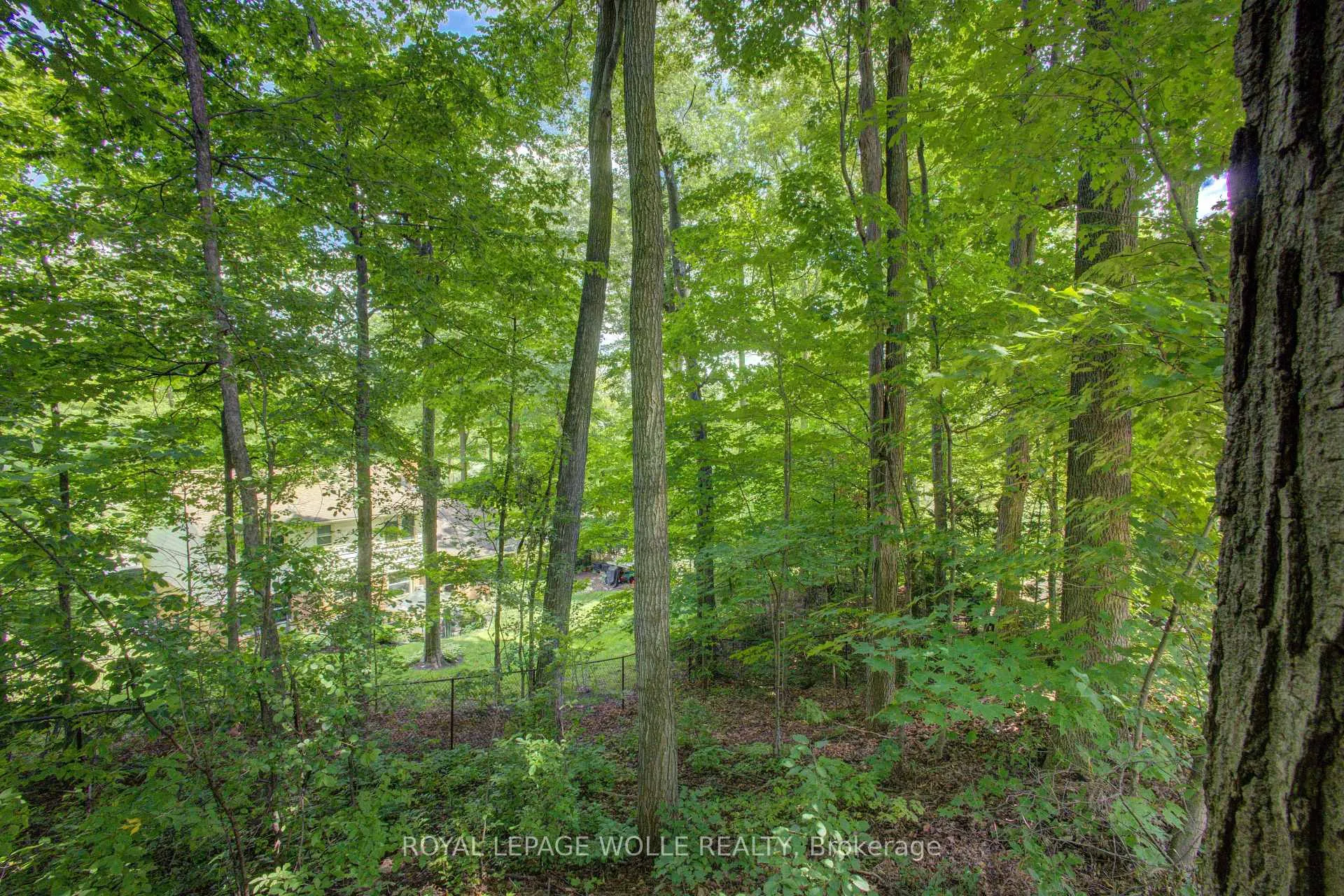 Photo 44 of 294 Algonquin Drive, Waterloo, Beechwood — HOMEH