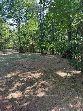 Photo 5 of 2875 County Road 21, Minden Hills, Minden — HOMEH