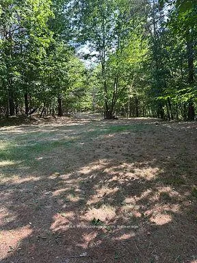 Photo 6 of 2875 County Road 21, Minden Hills, Minden — HOMEH